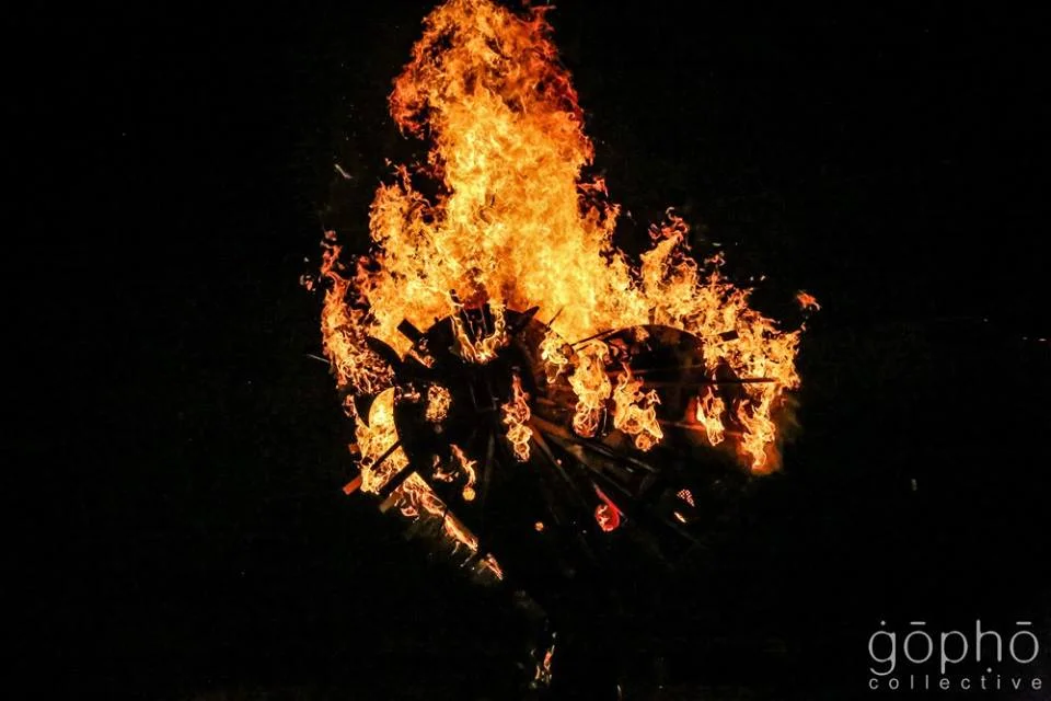 AELO Alumni | Lauren + Rob 7/18/15