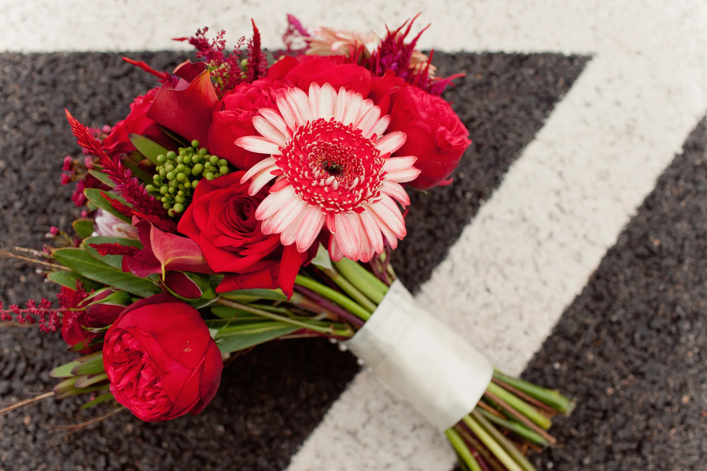 AELO Alumni    |    Jill + Pat 8/29/15