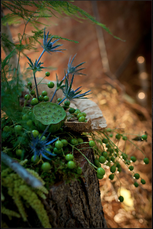 decor 7.jpg