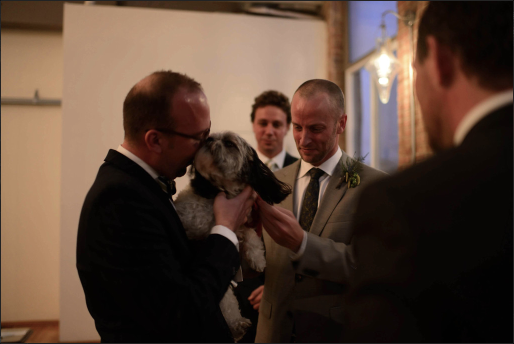dog.jpg