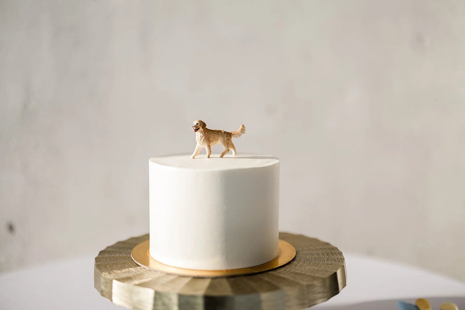 The Wedding of Eden + Peter by Fox + Ivory-648.jpg