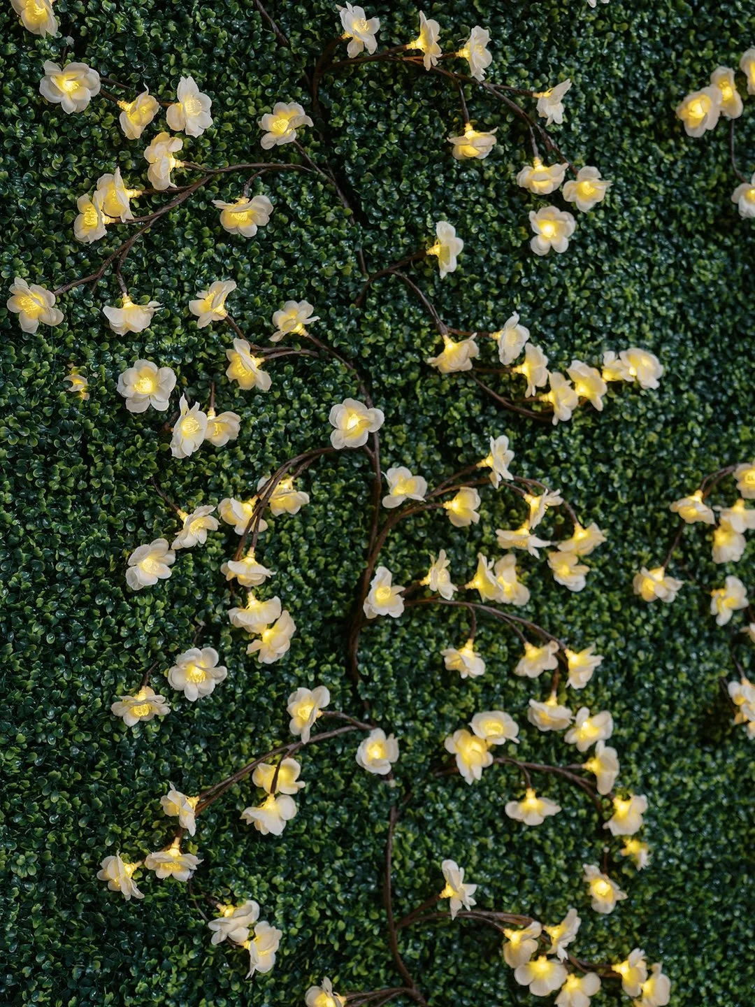 C&P_WEDDING DAY-578.jpg