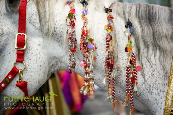 Ruthie Hague Photography