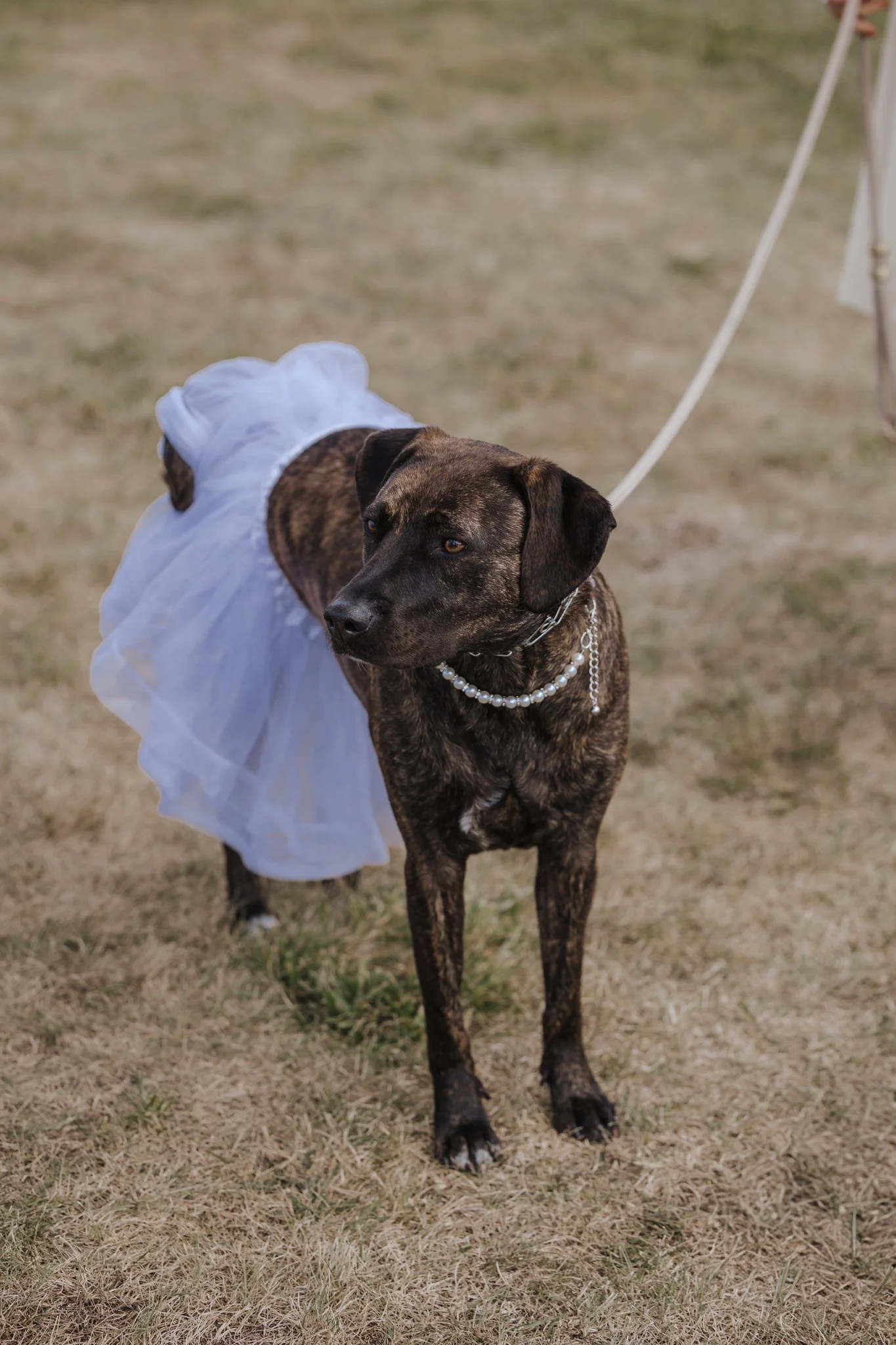 Alyson Marie Photo (Copy)