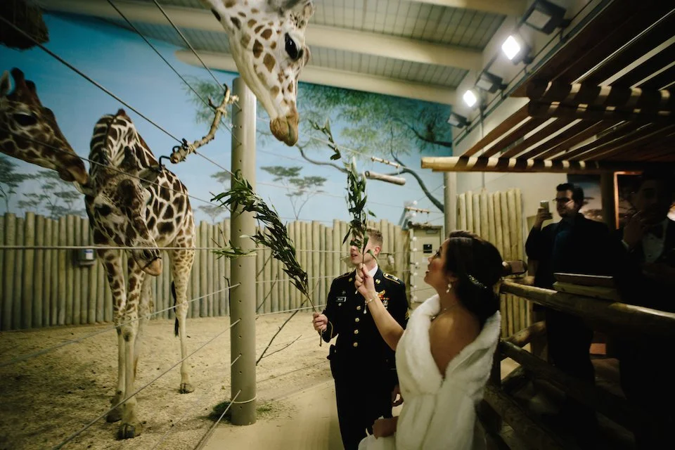 Chris Kim Photo (Copy)