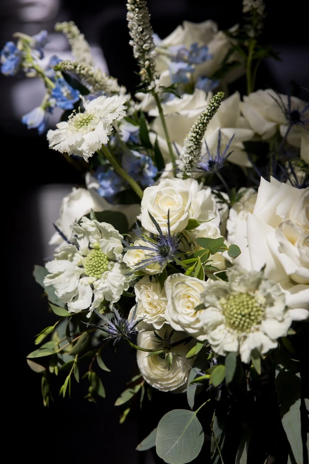 Ed _26 Aileen Photography_KK-31.jpg