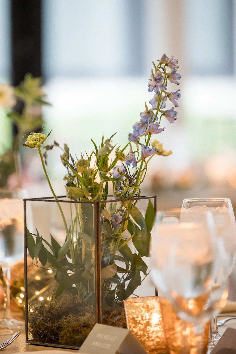 Ed _26 Aileen Photography_KK-325.jpg