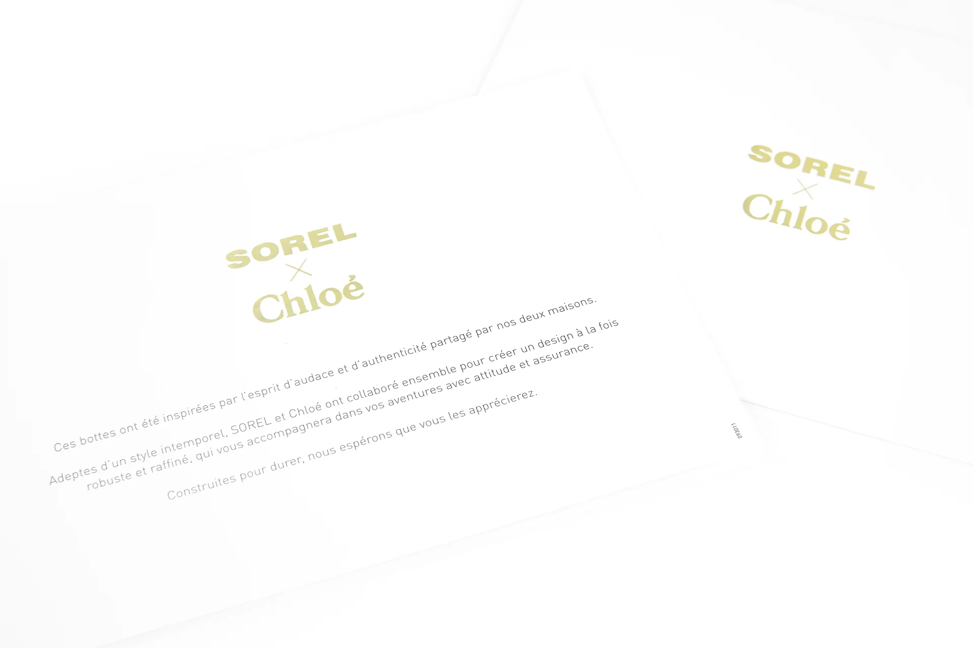 CHLOE_3.jpg