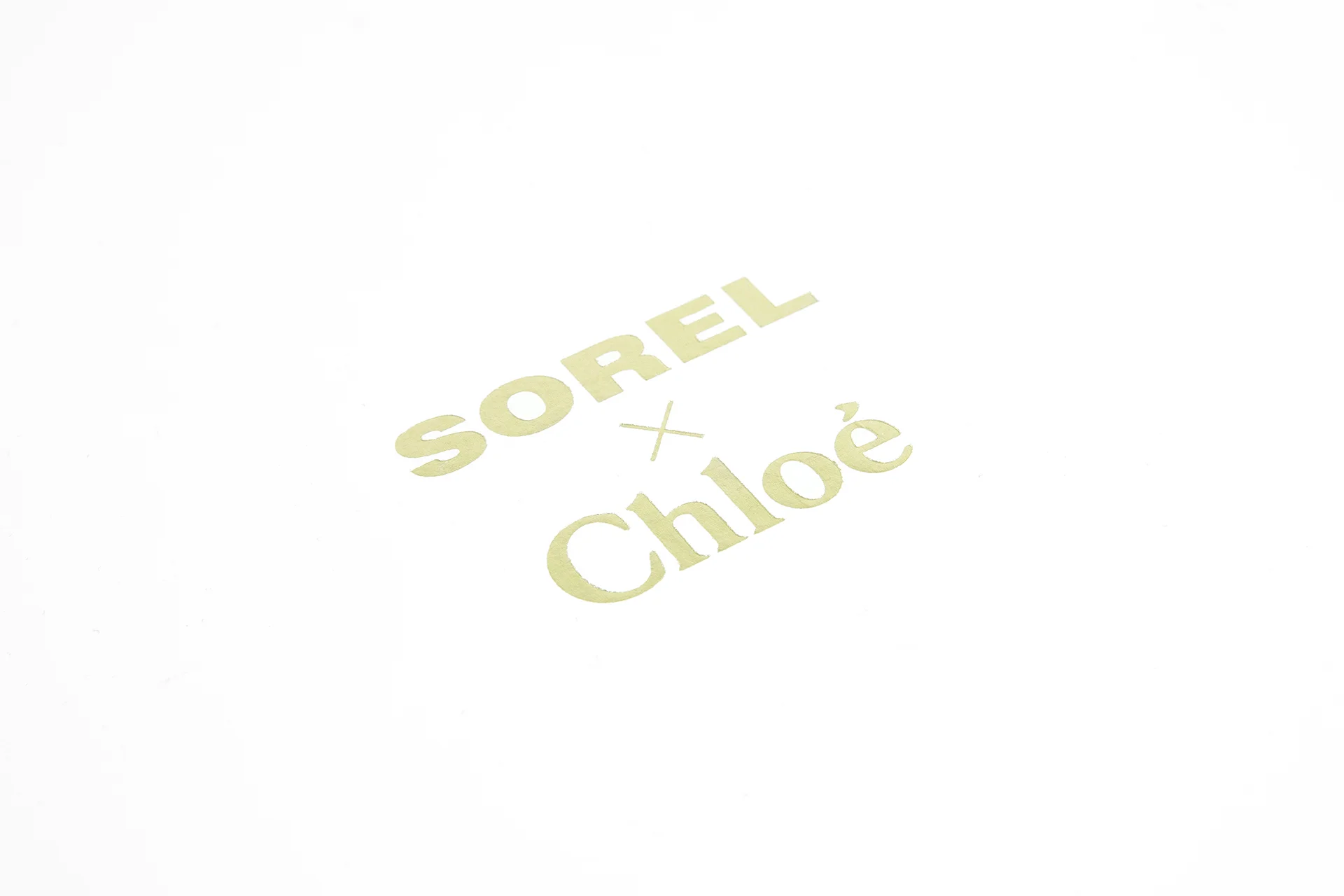 CHLOE_2.jpg