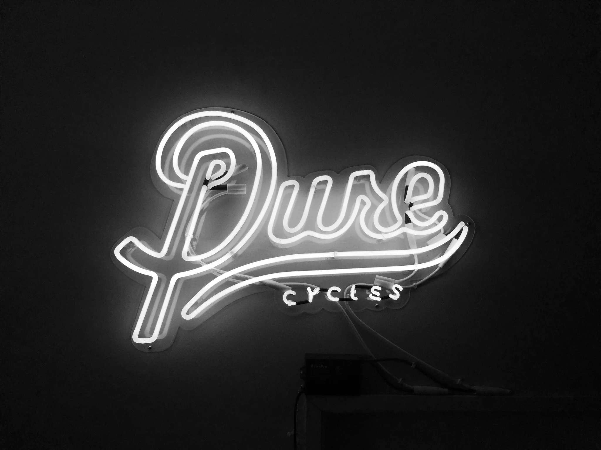 PureNeonSign.jpg
