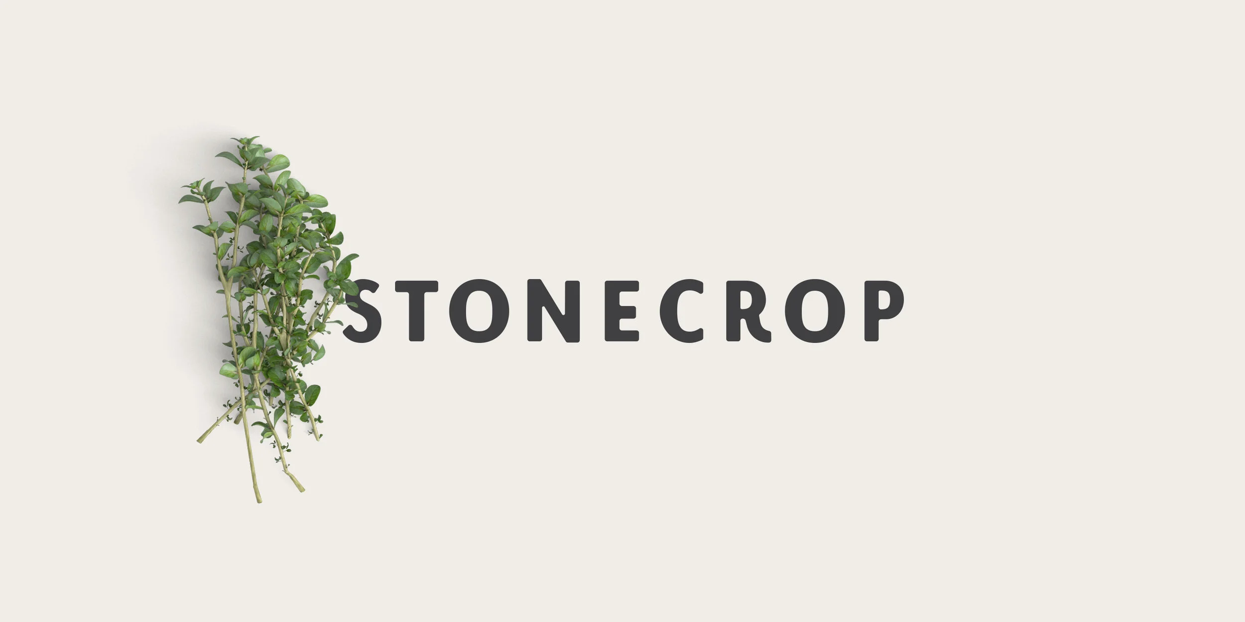 Logo-mock.jpg