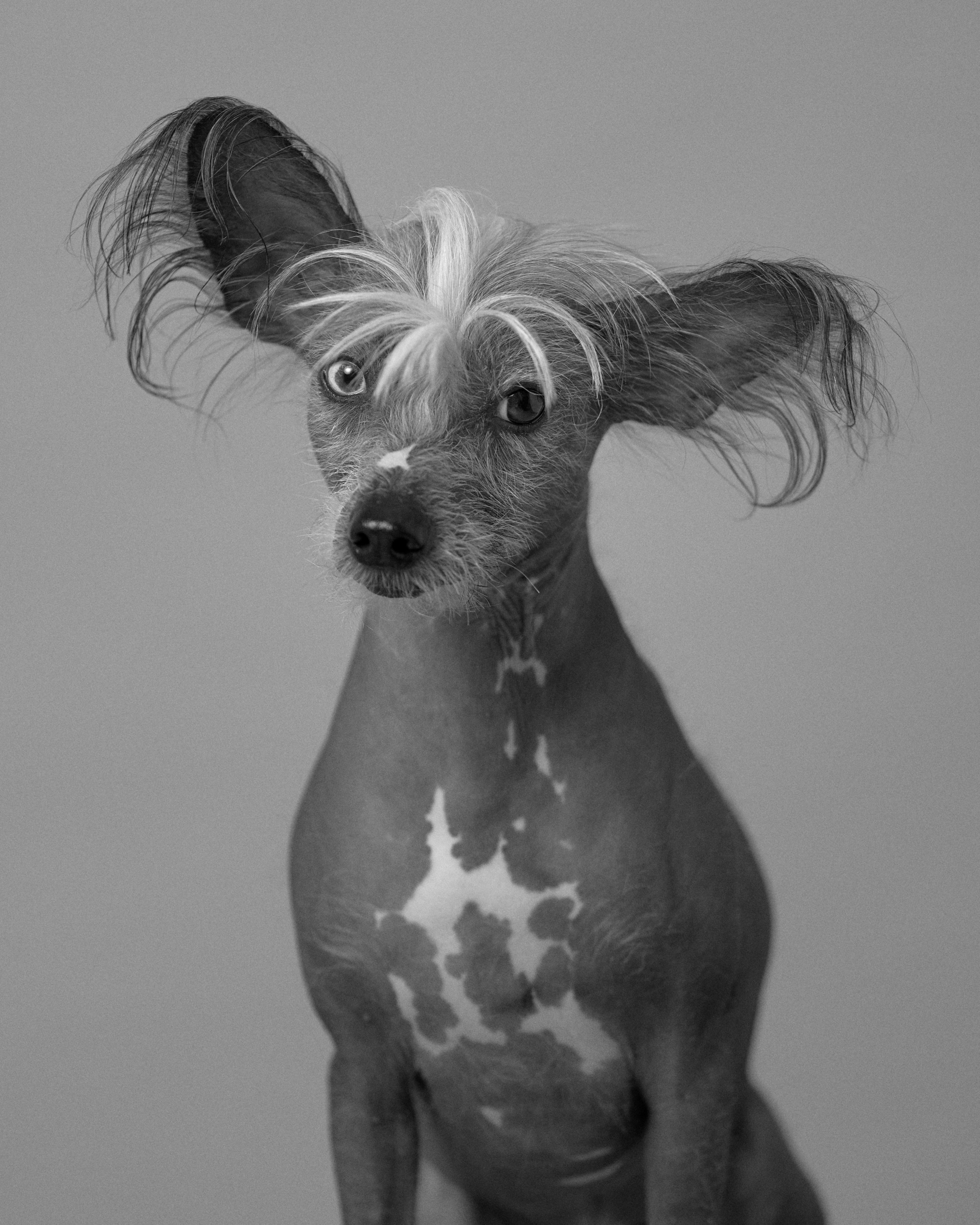 Nude25764.jpg