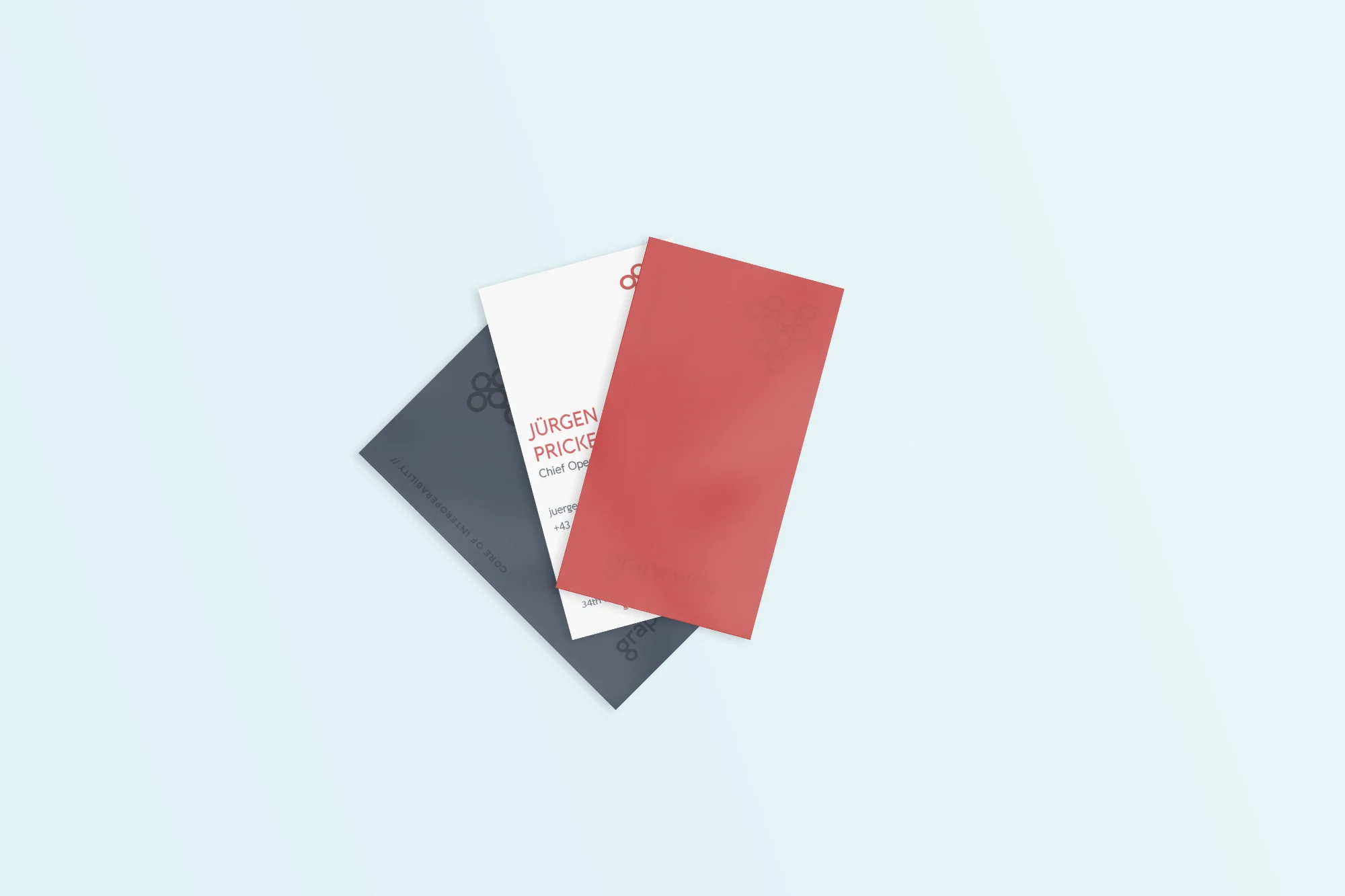BusinessCards_tuerk.jpg