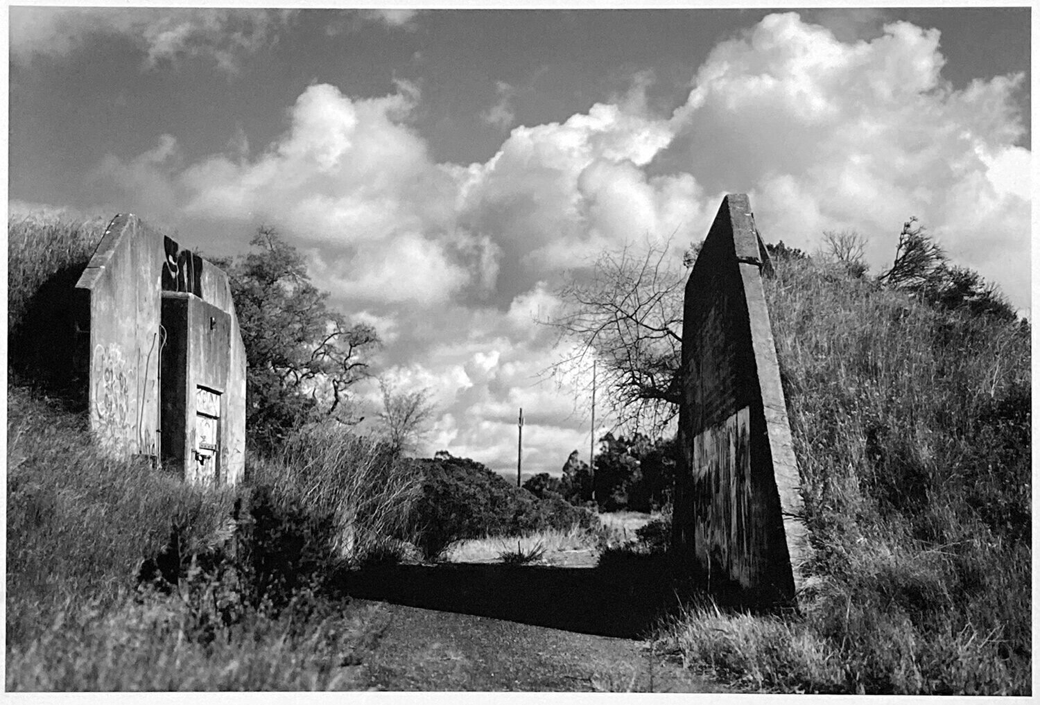 Hamilton-Field8x10.jpg
