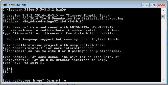 typing-y-to-save-the-r-workspace-on-exit.png