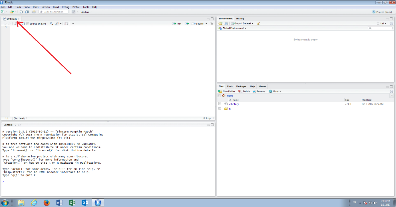 a-blank-script-in-rstudio.png