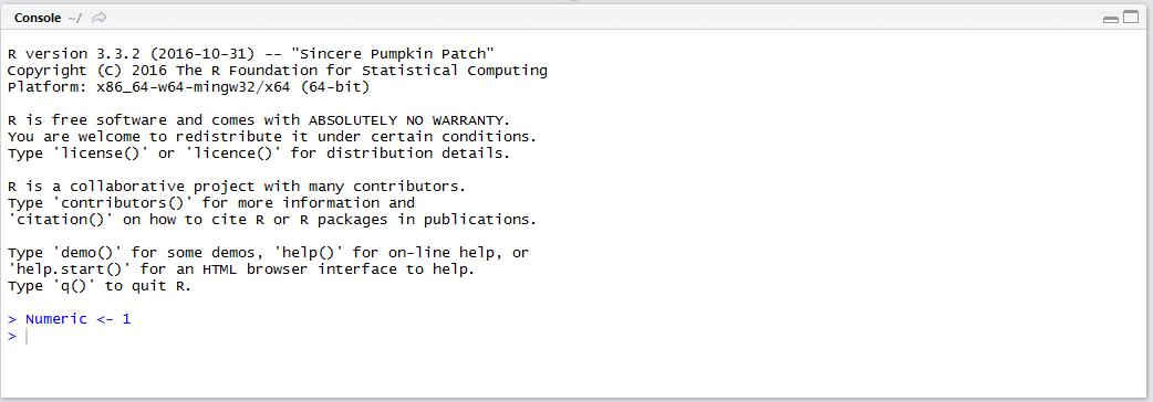 r-console-numeric-variable-created-by-assign.png