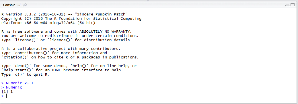 numeric-variable-written-out-to-r-console.png