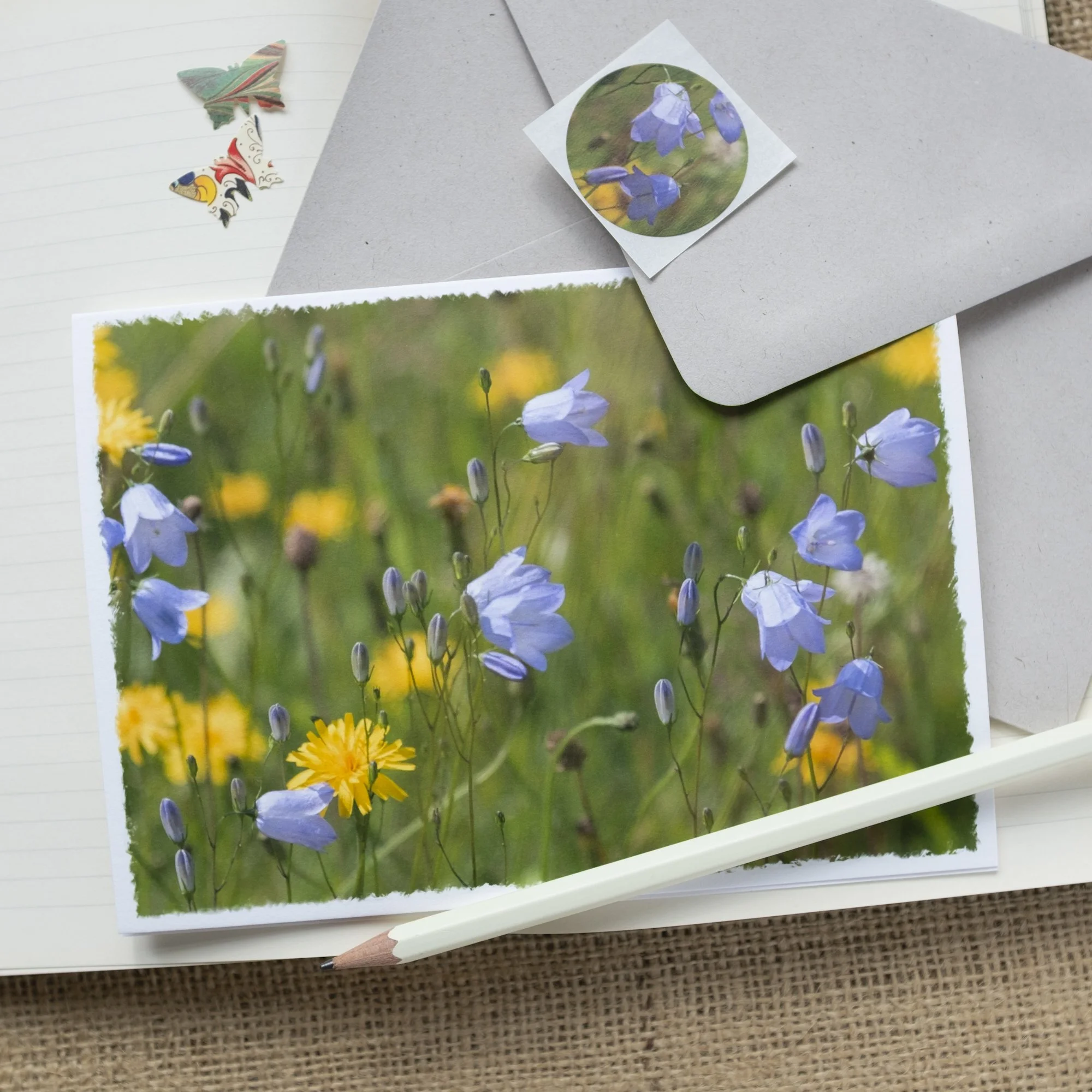 Wildflowers luxury mini-print card with wild harebells and hawkbit flowers.