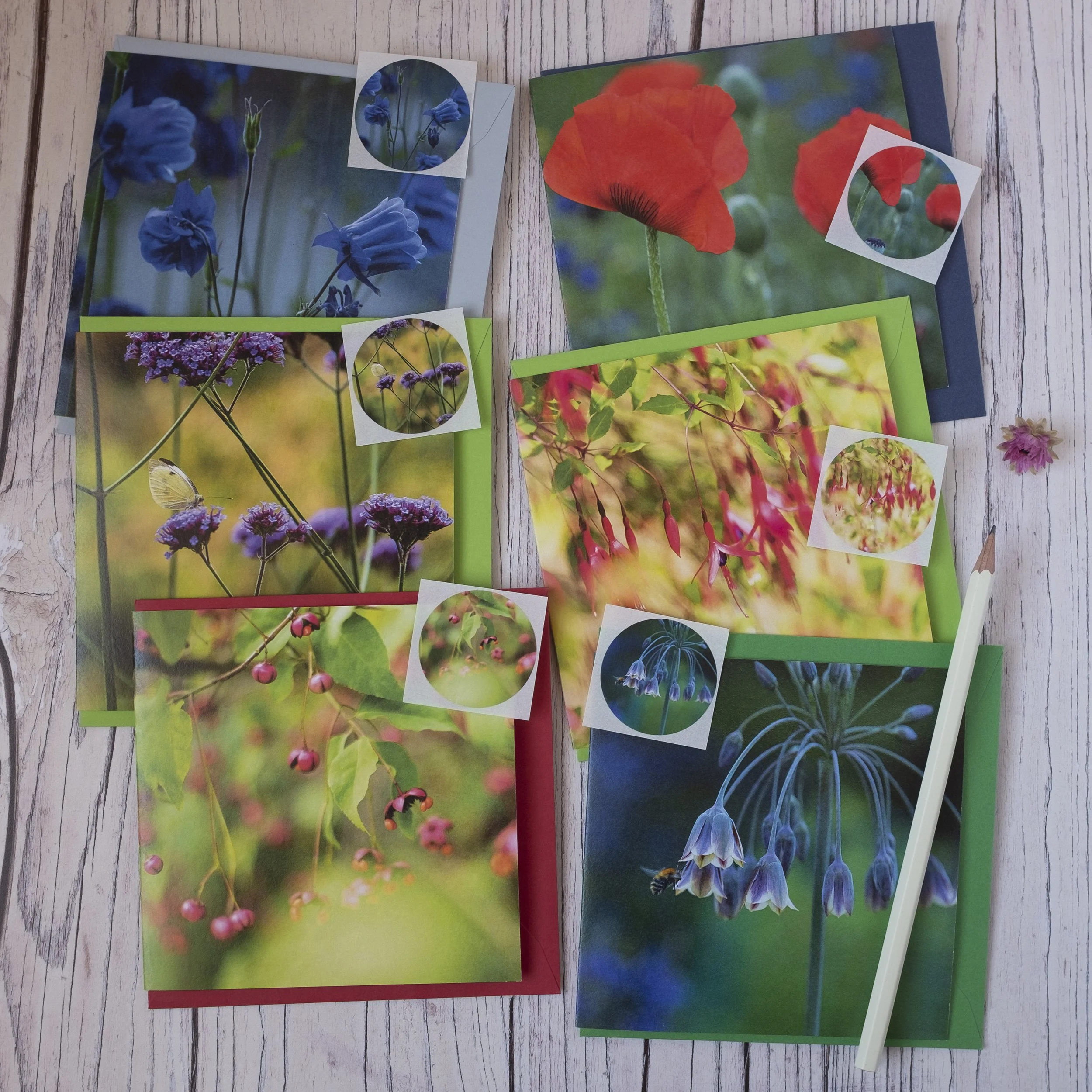 Garden Zen Collection, Set of Six Garden Floral Note Cards and Matching Sticker Seals