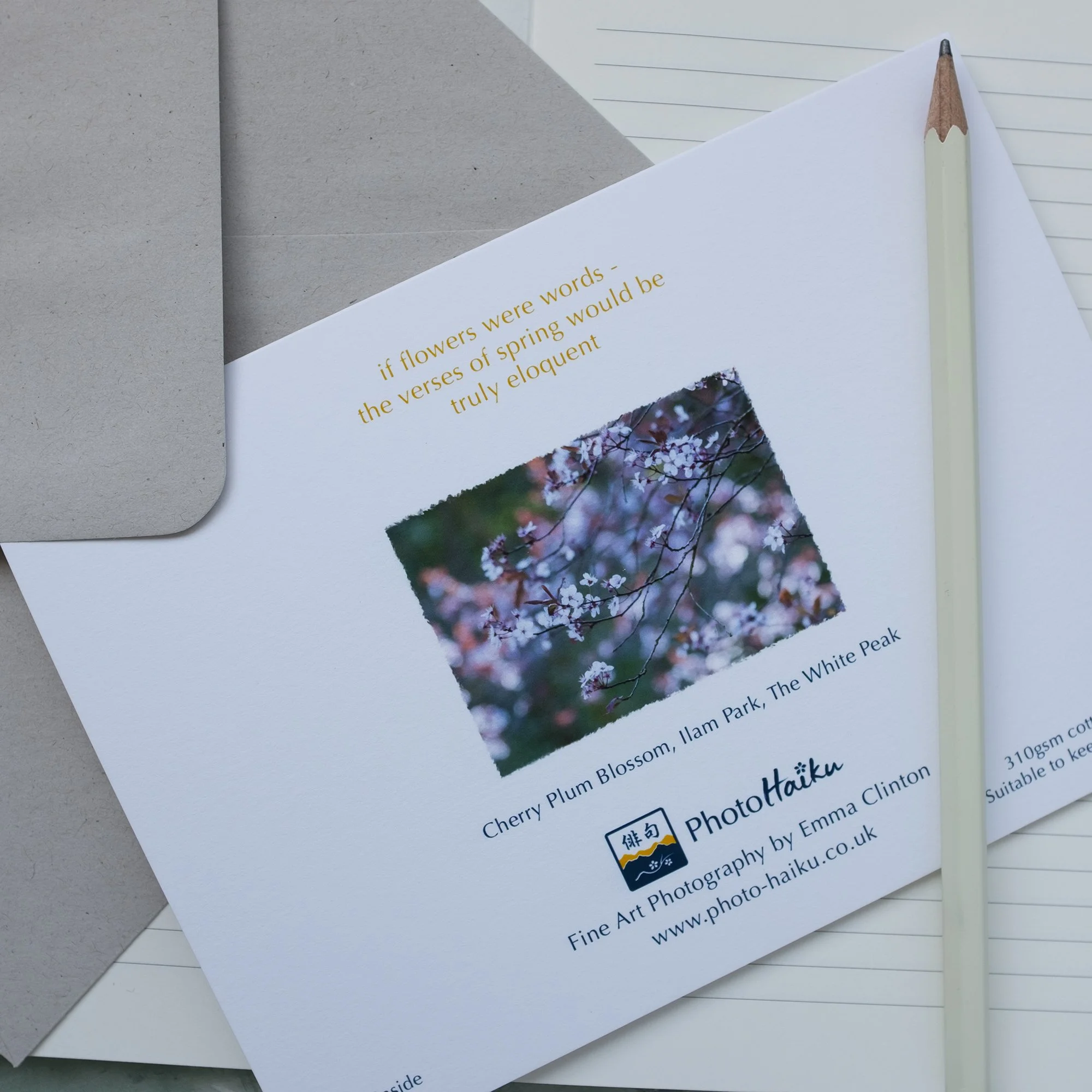 Cherry Plum Blossom Card