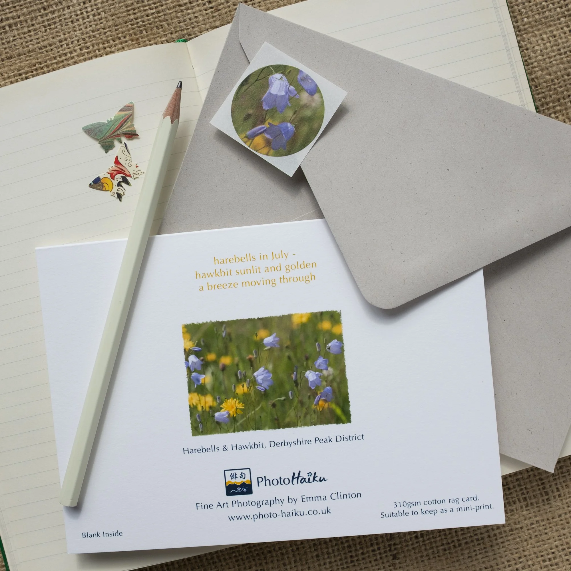 Wildflowers luxury mini-print card with wild harebells and hawkbit flowers.