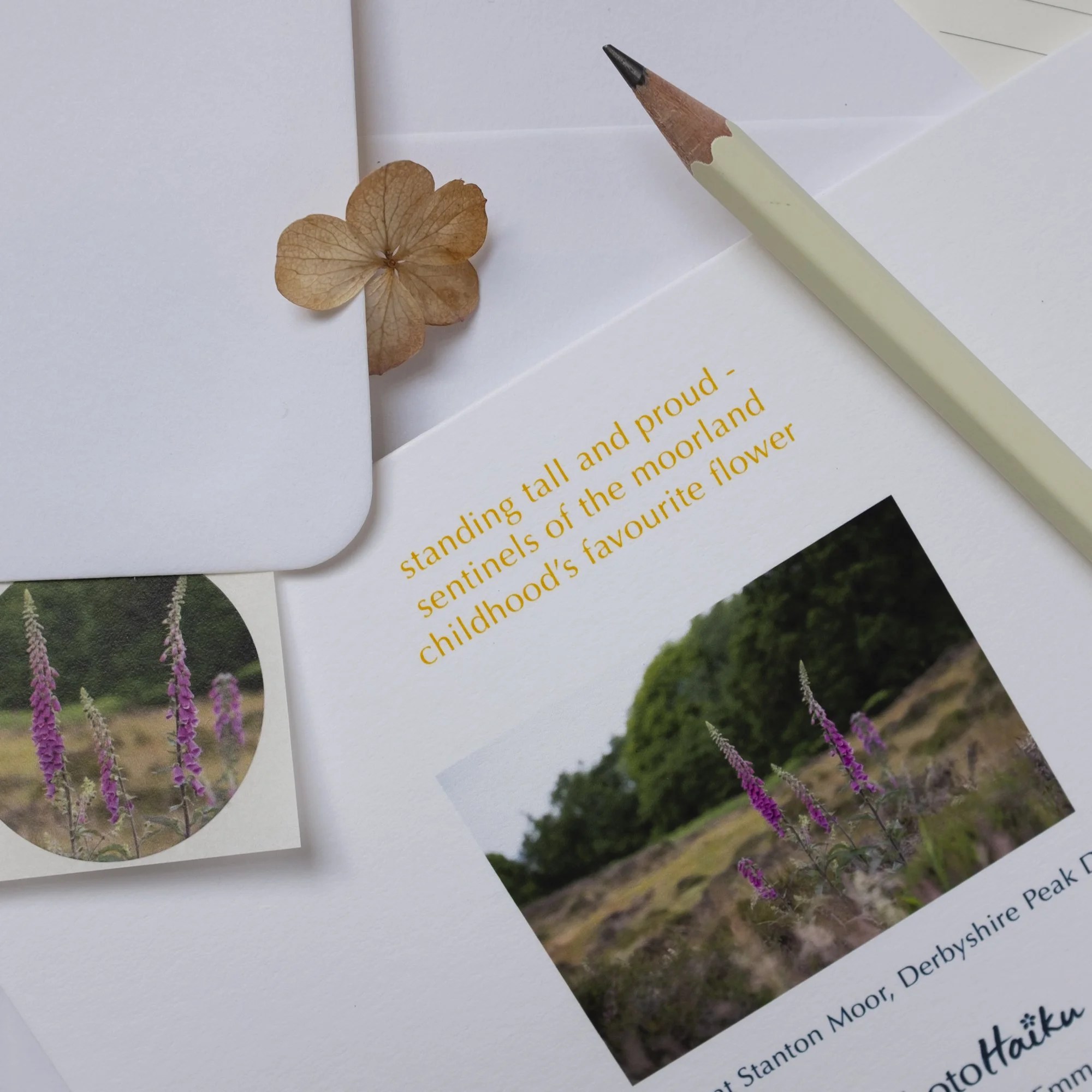 Foxgloves moorland view photographic card with matching sticker seal