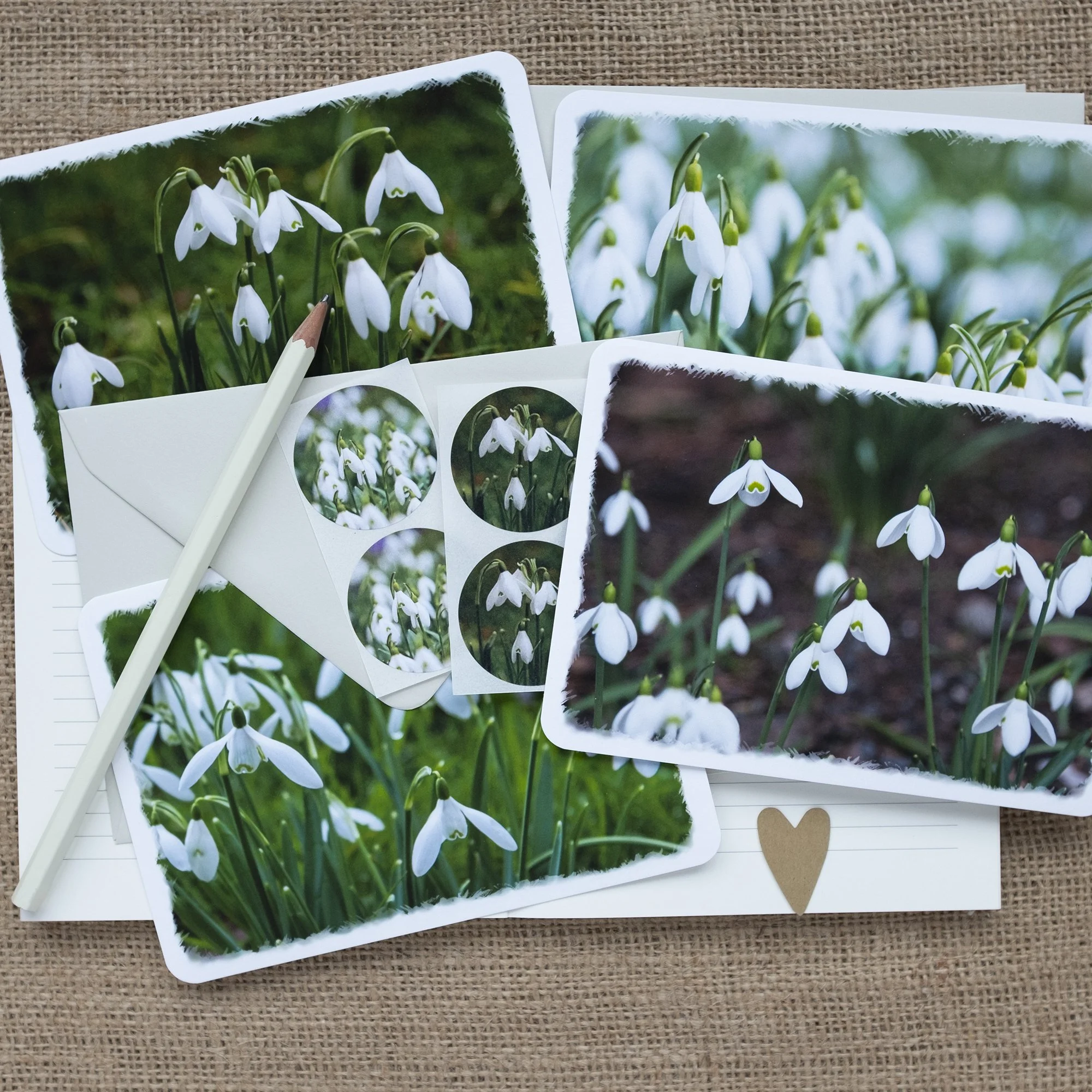 Snowdrop Notelets UK