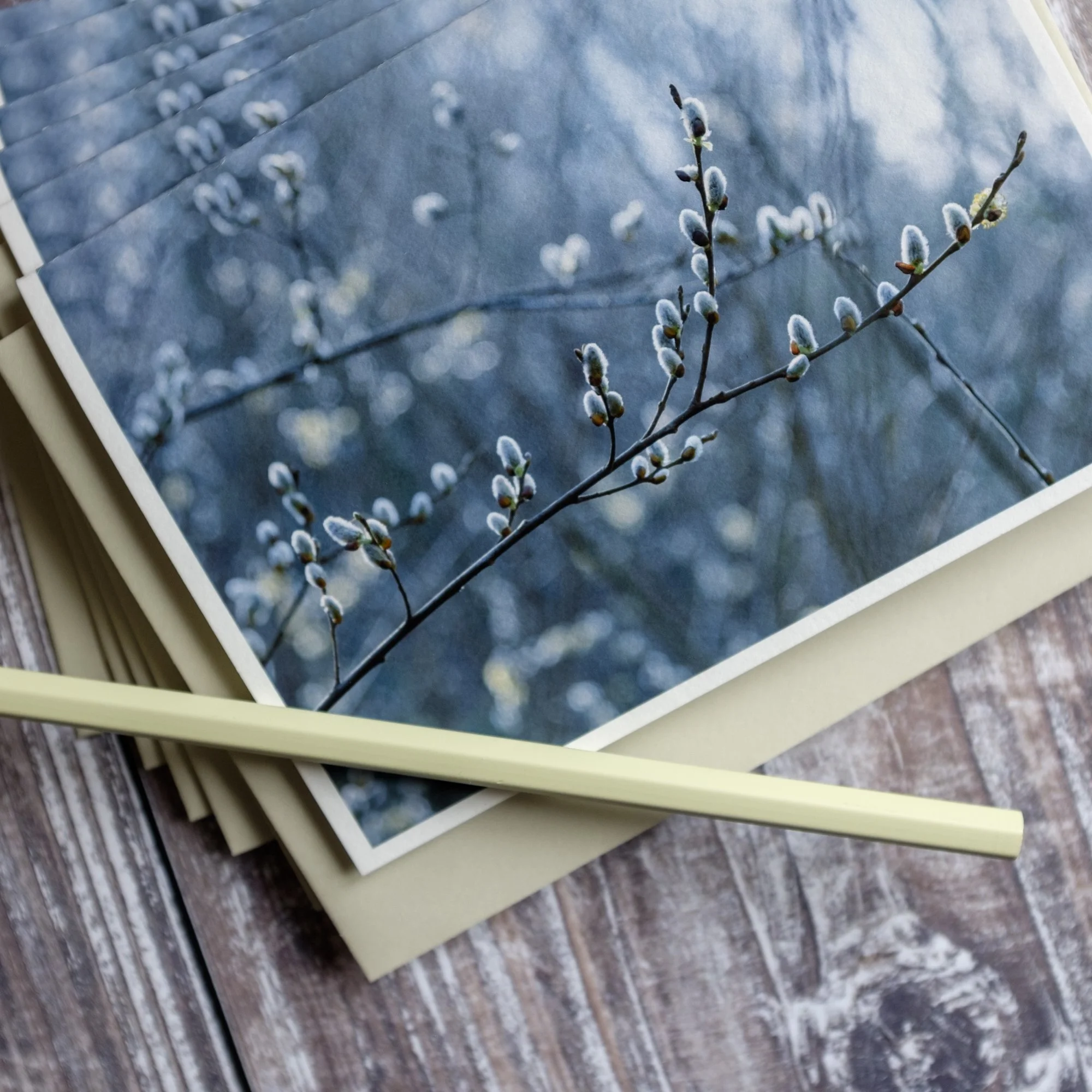 Spring Willow Note Cards Box Set