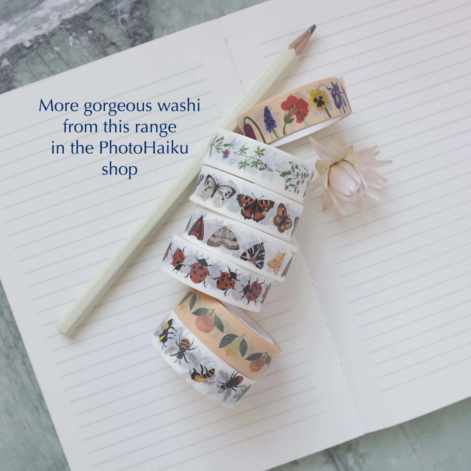 Rolls of nature washi tapes.