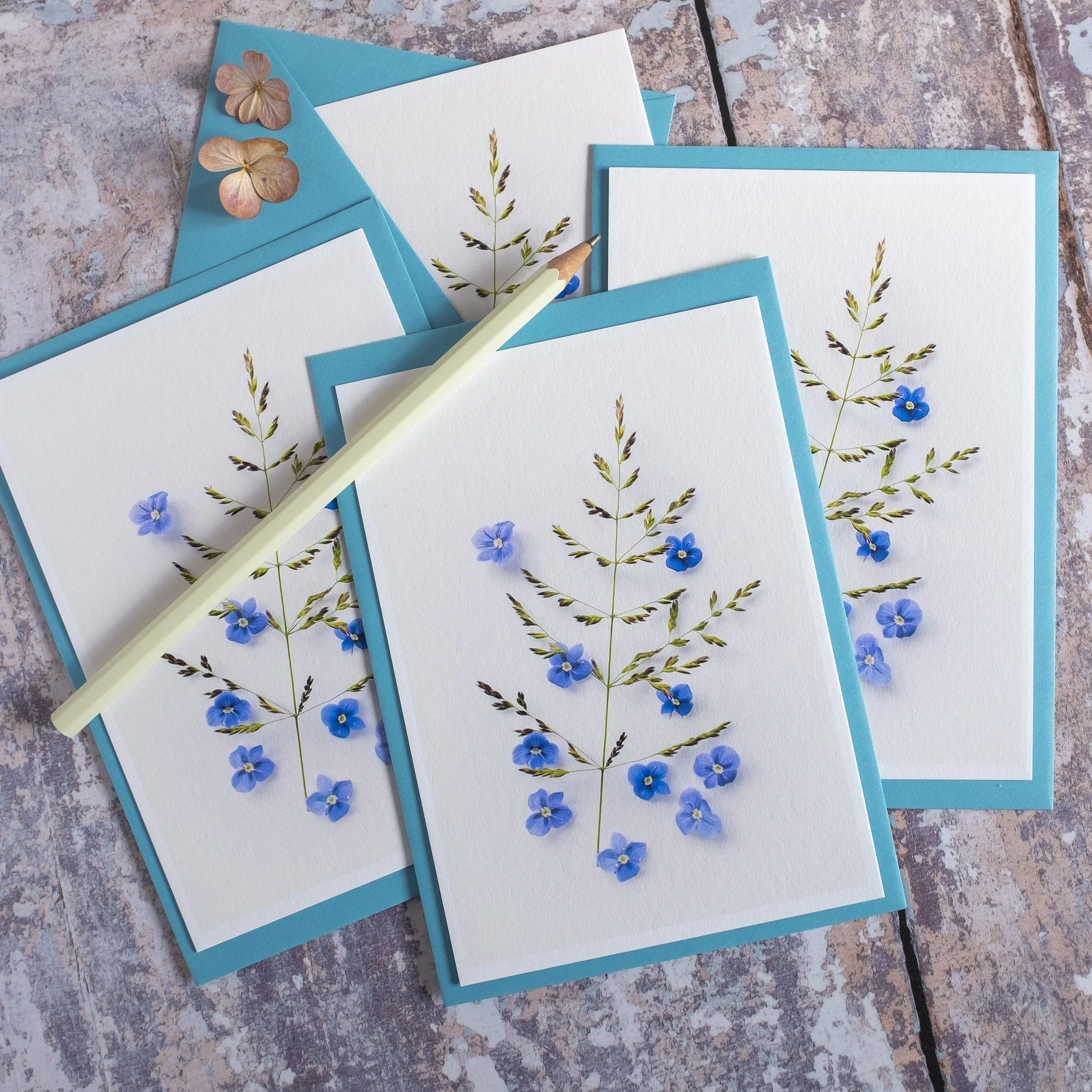 Speedwell Wildflower Notelets