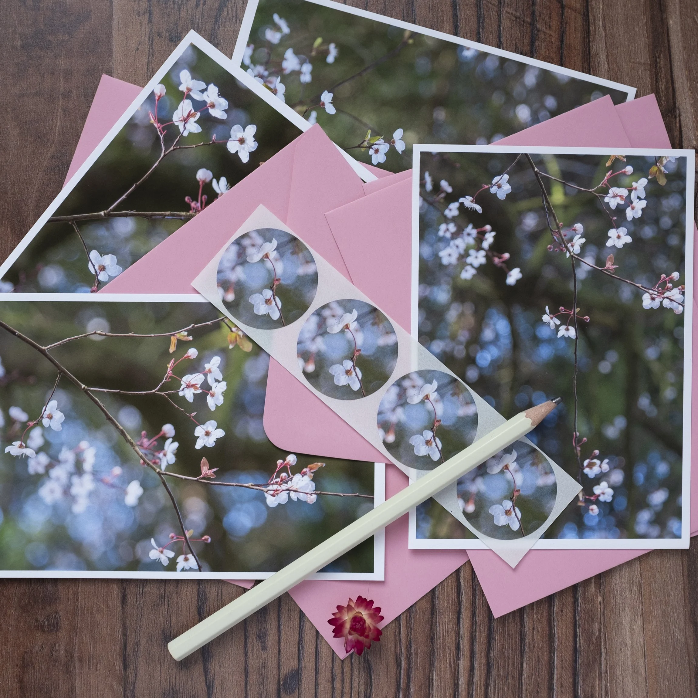 Cherry Plum Blossom Notelets Set.jpg