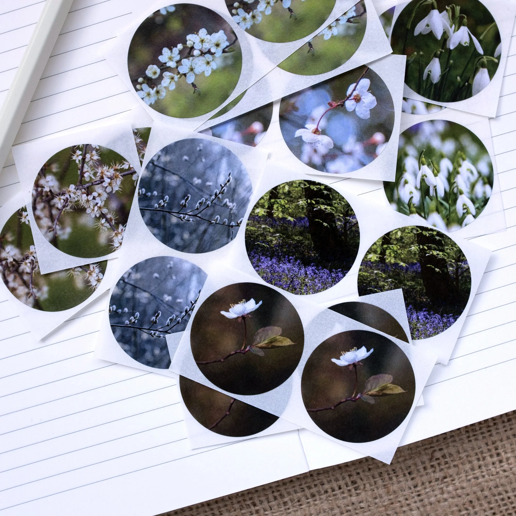 Spring themed floral sticker collection.