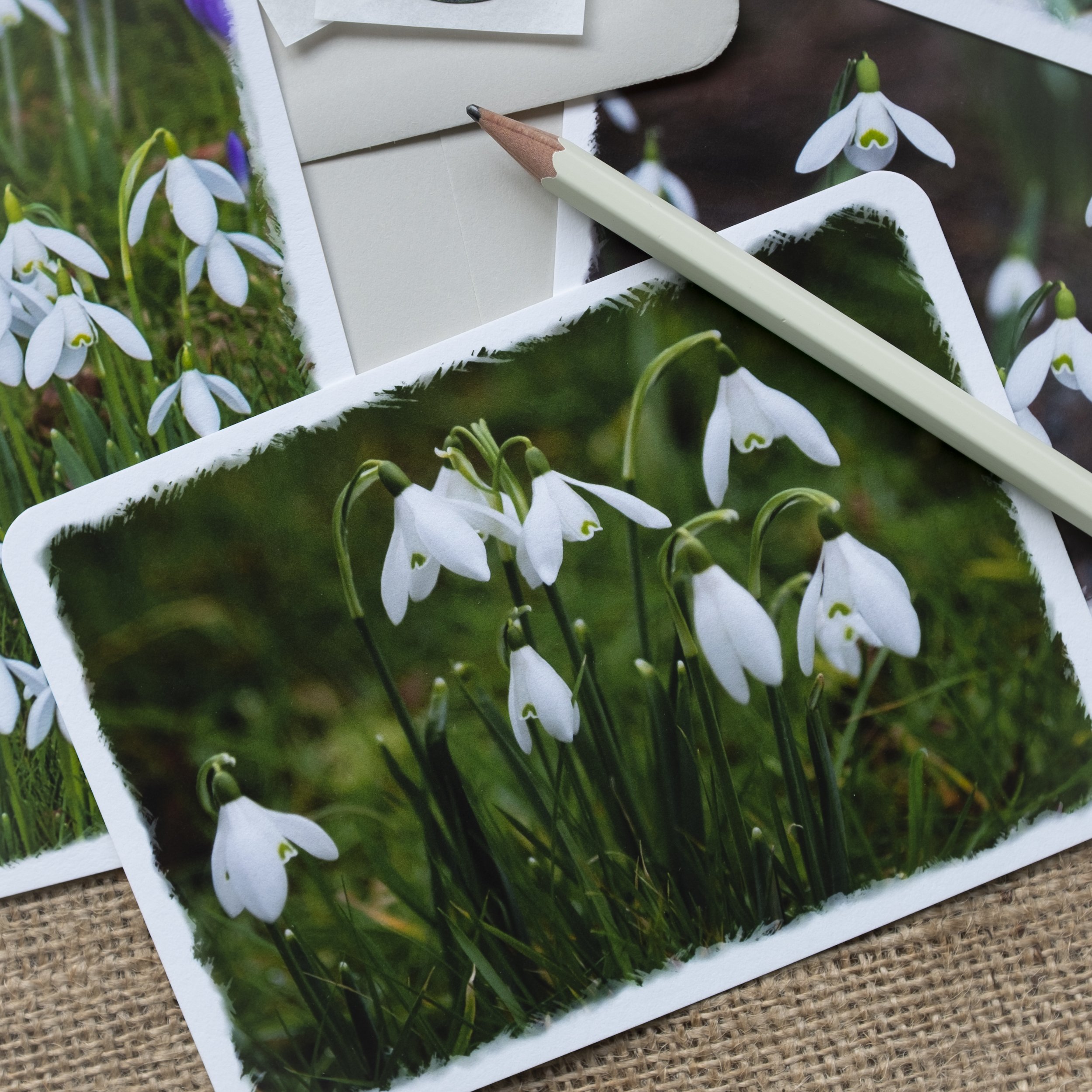 Snowdrop Notelets UK.jpg