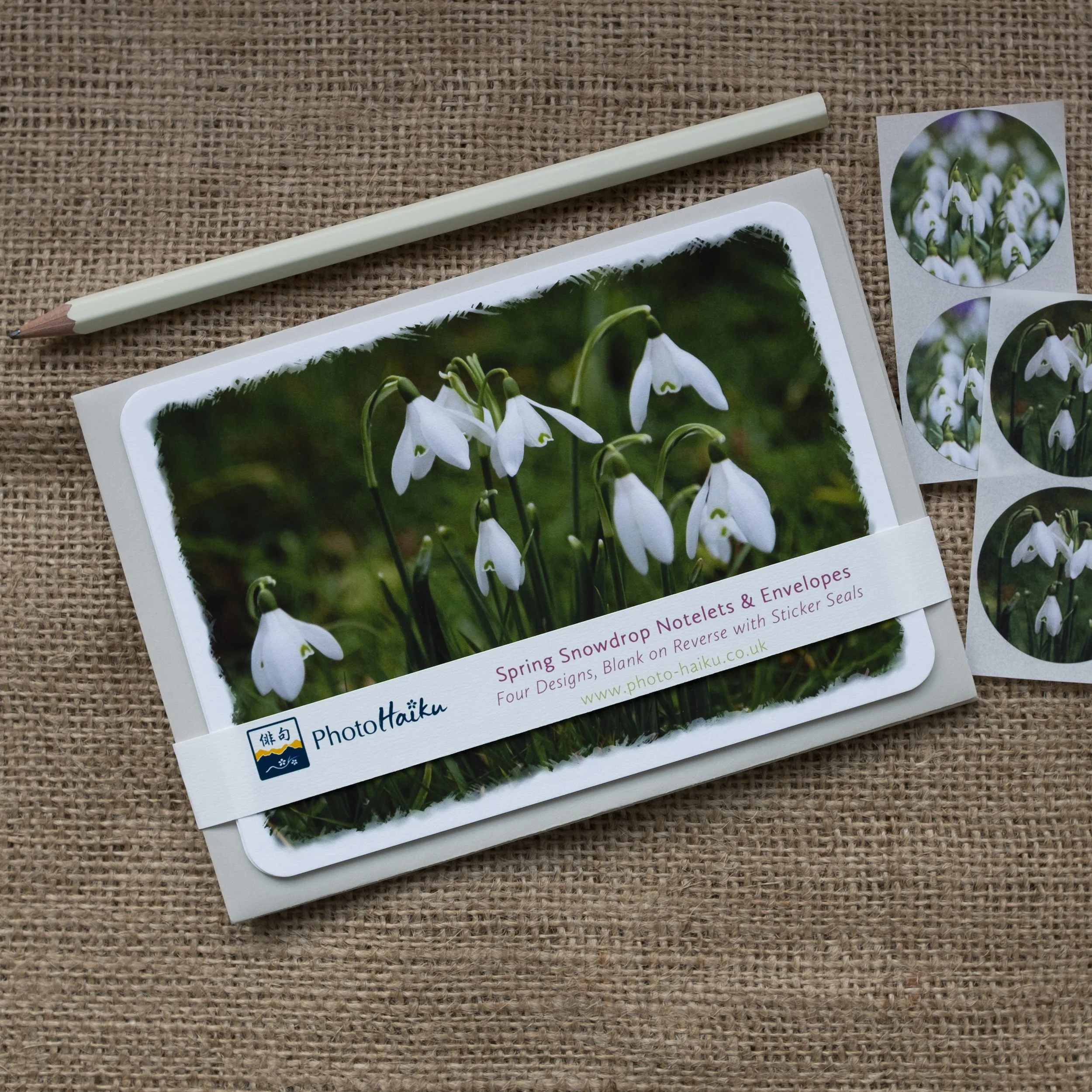 Snowdrop Notelets Gift Set.jpg