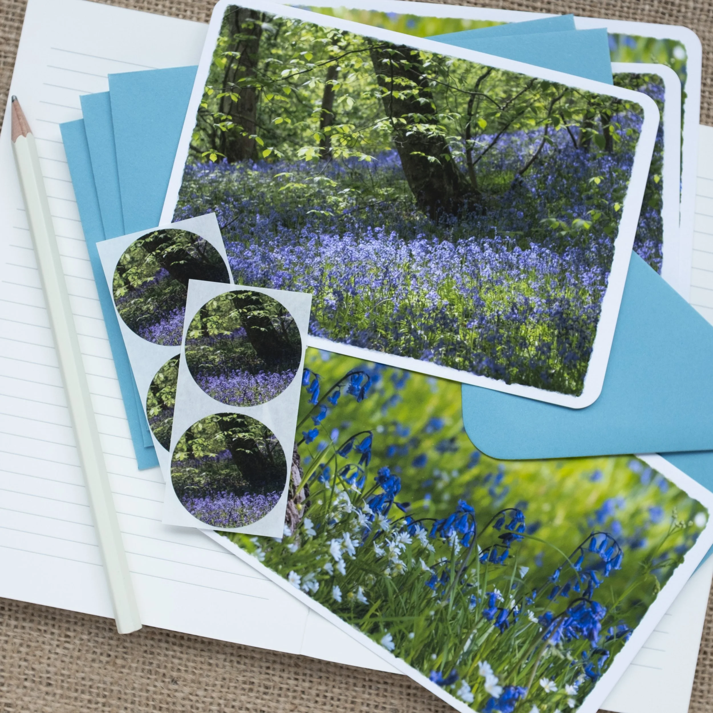 Bluebells note cards set