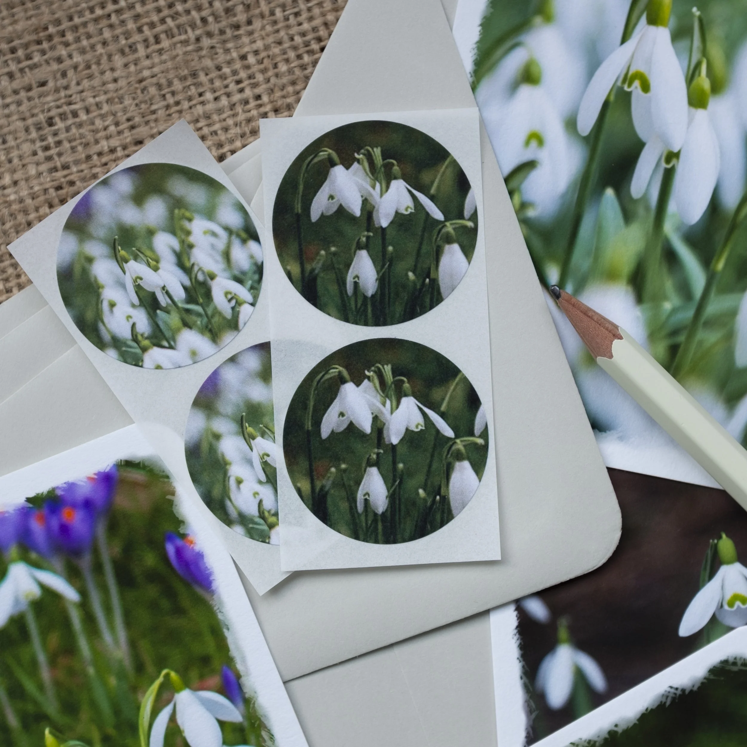 Snowdrop Notelets Set.jpg