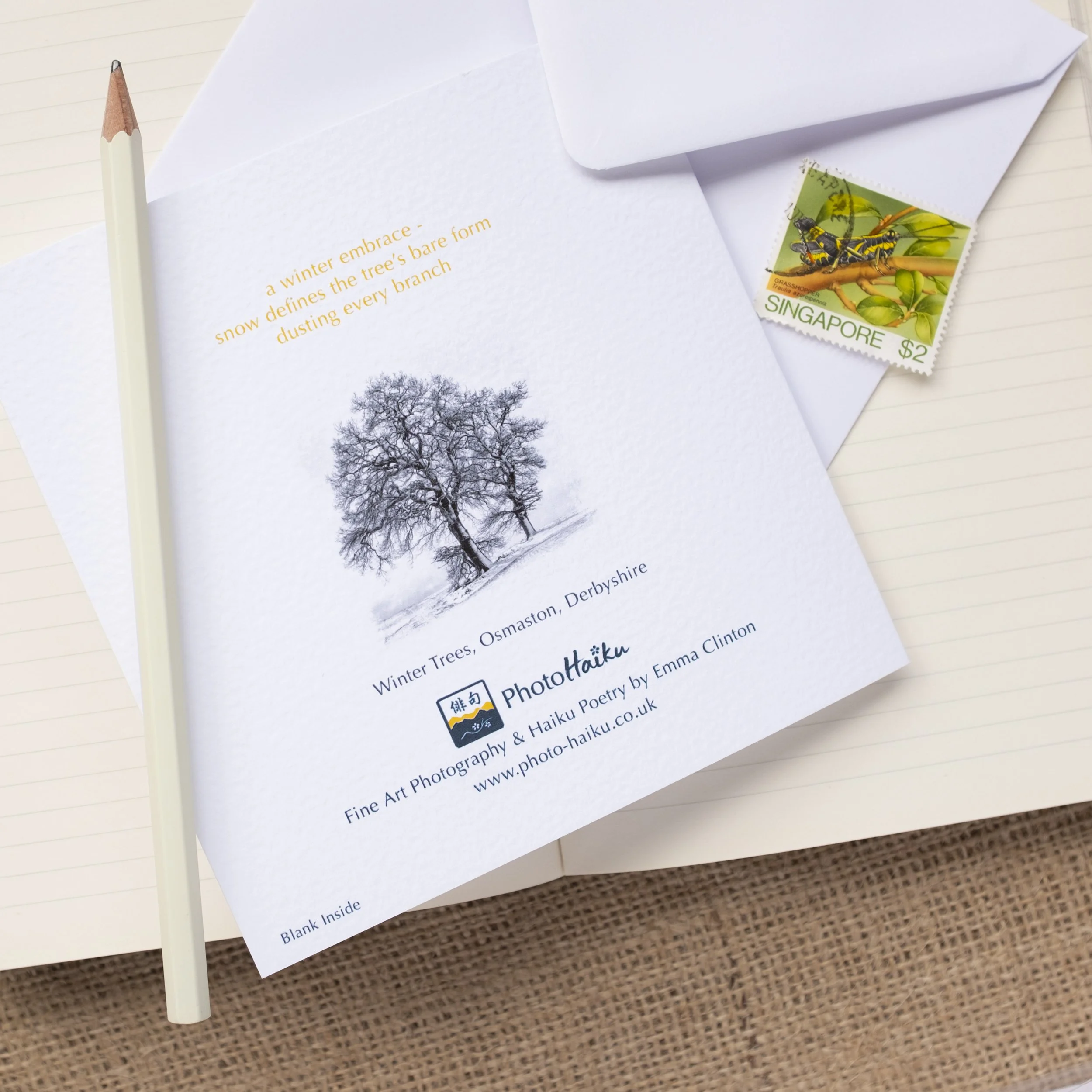 Winter Trees Monochrome Photographic Greetings Card