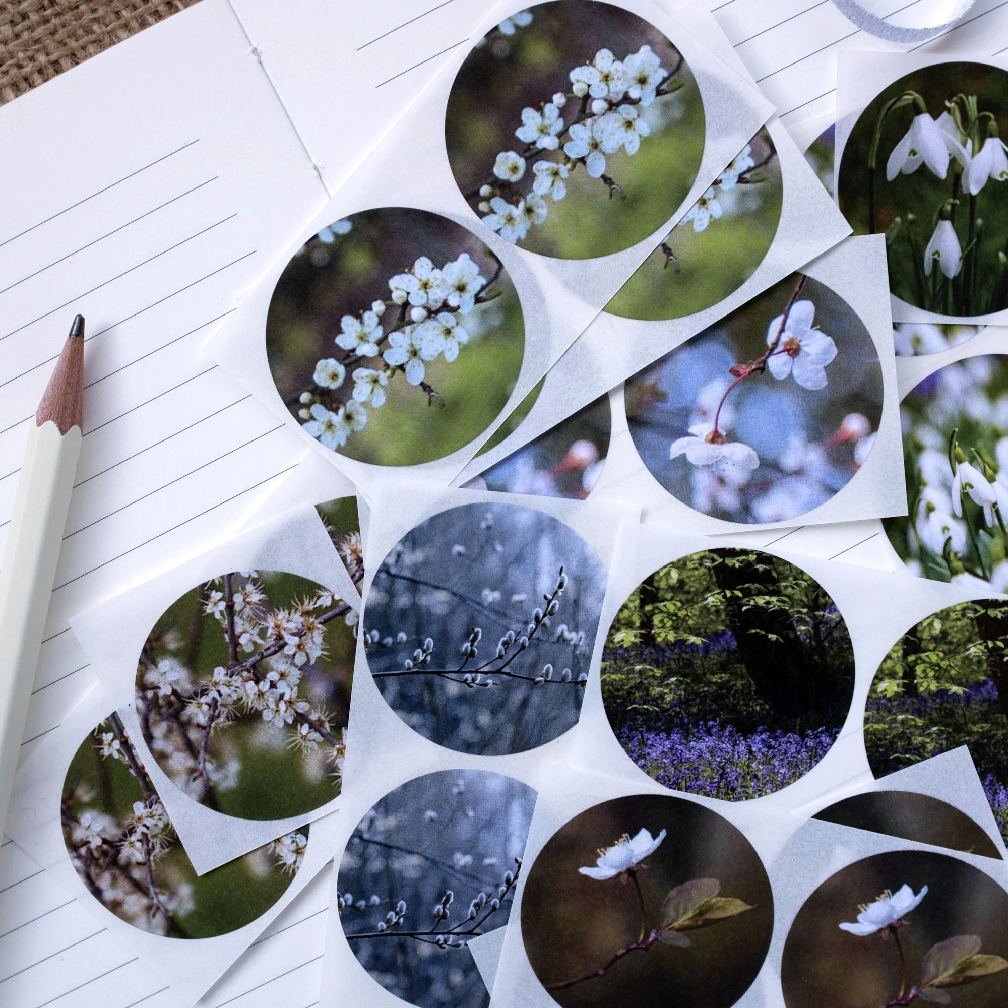 Spring themed floral sticker collection.