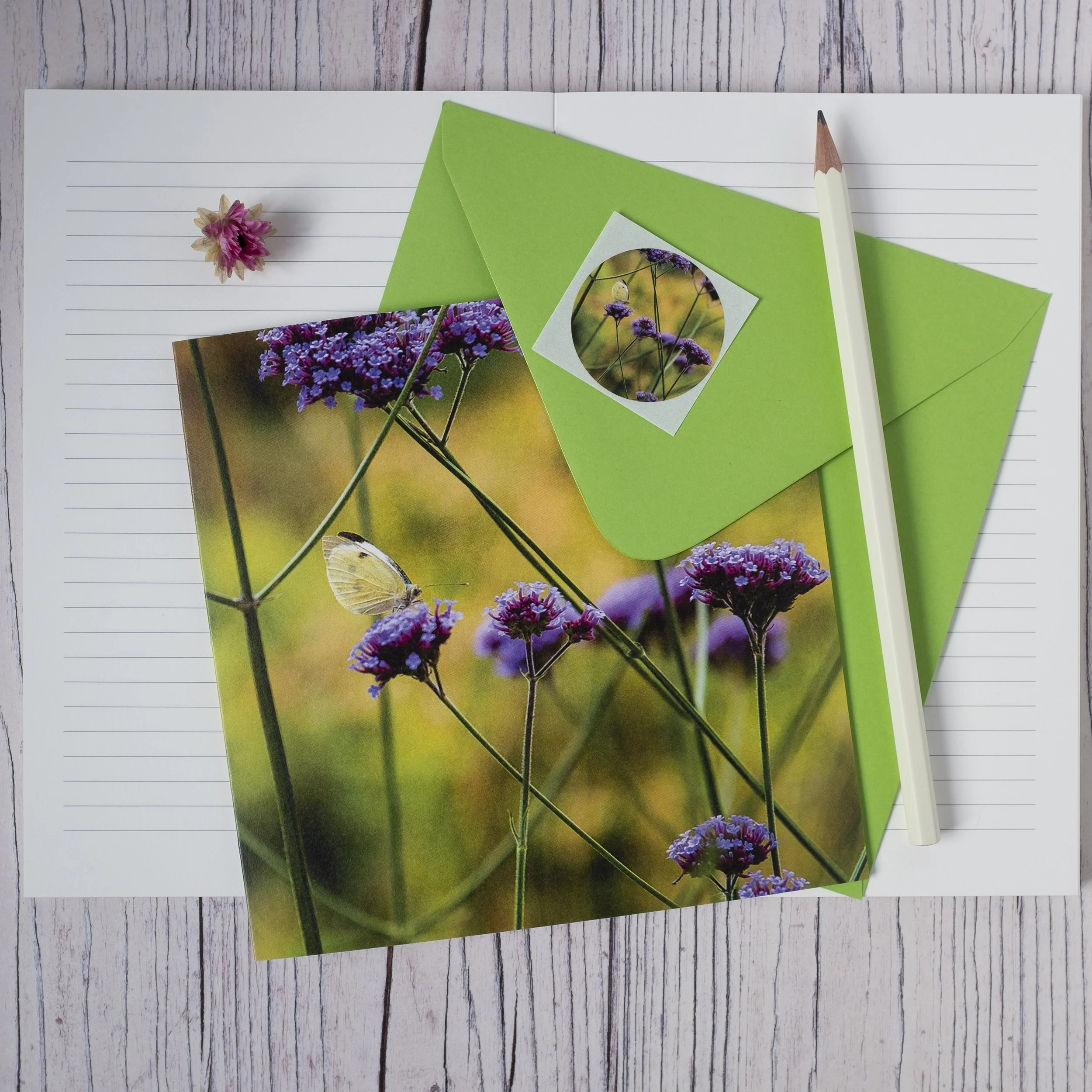 Verbena Bonariensis Fine Art Photographic Card