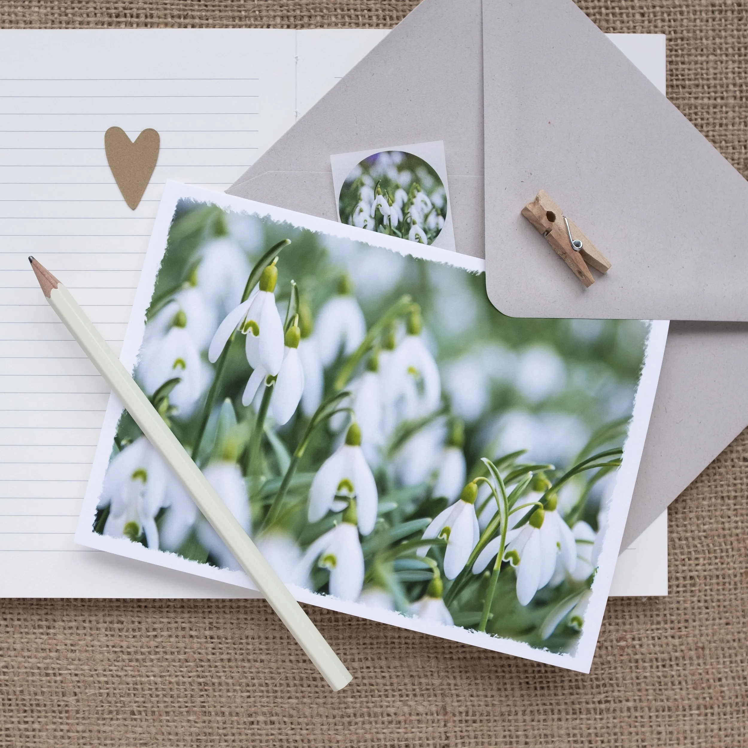 Snowdrops Greeting Card