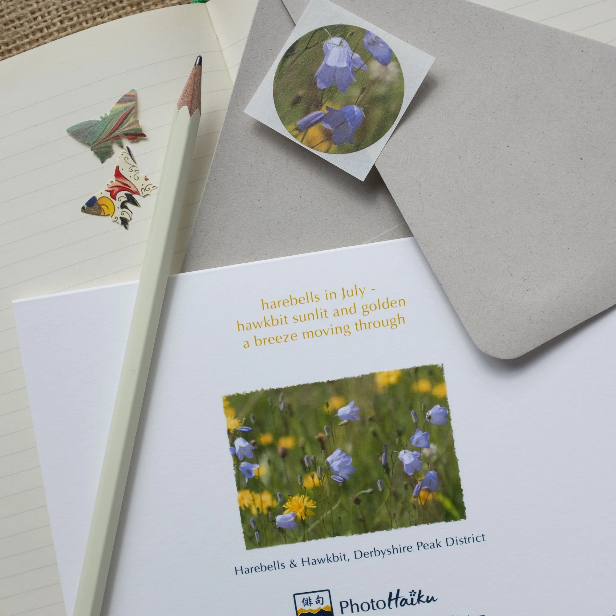 Wildflowers luxury mini-print card with wild harebells and hawkbit flowers.