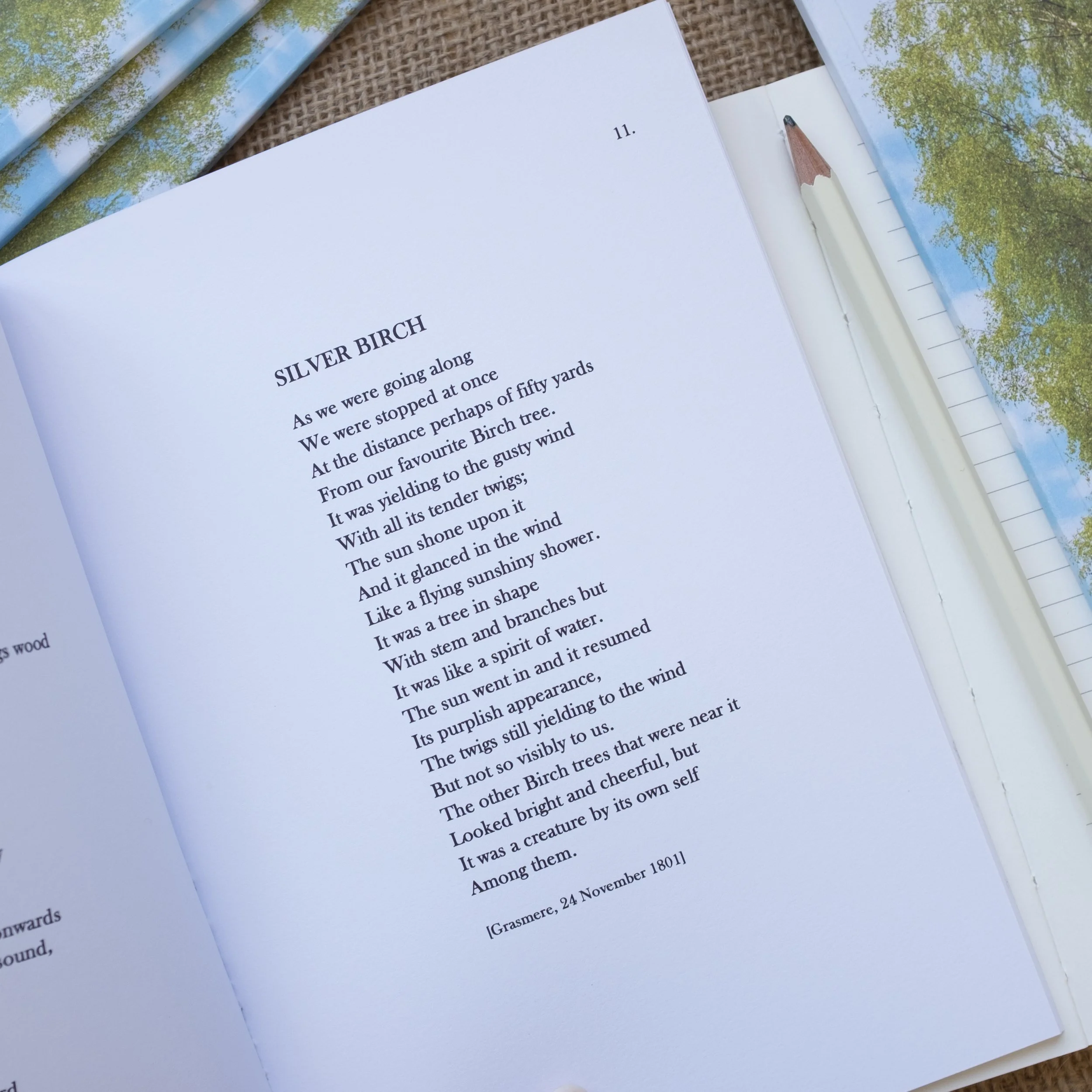 Silver Birch Poem, extract from the Journals of Dorothy Wordsworth