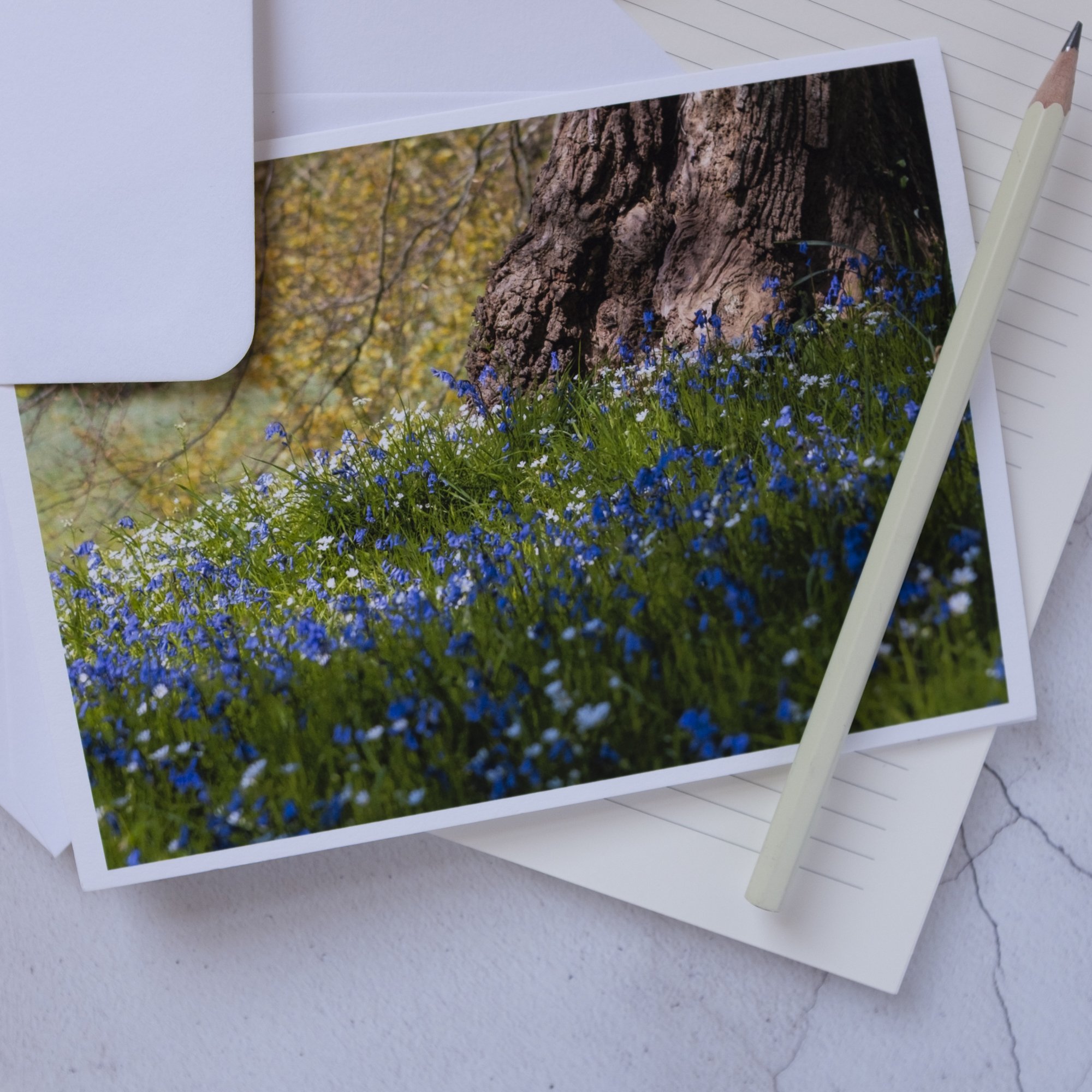 Bluebells beneath a tree luxury card with white envelope.