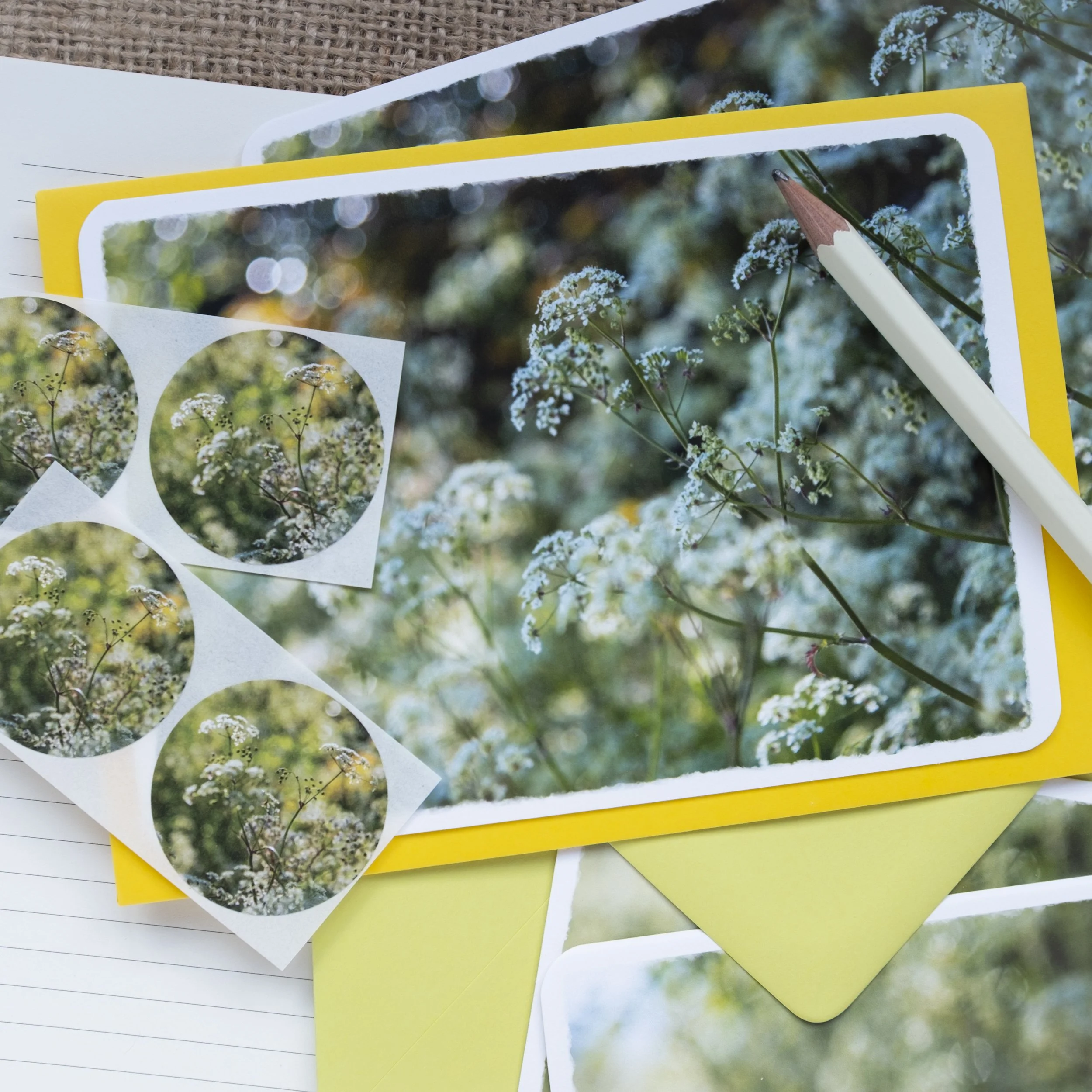 Cow Parsley Cards UK