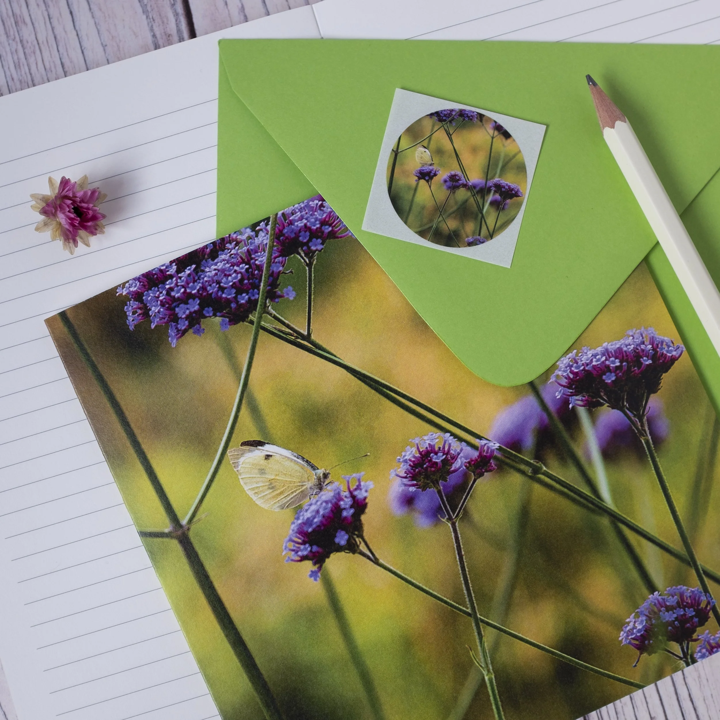 Verbena bonariensis eco-friendly garden floral card.