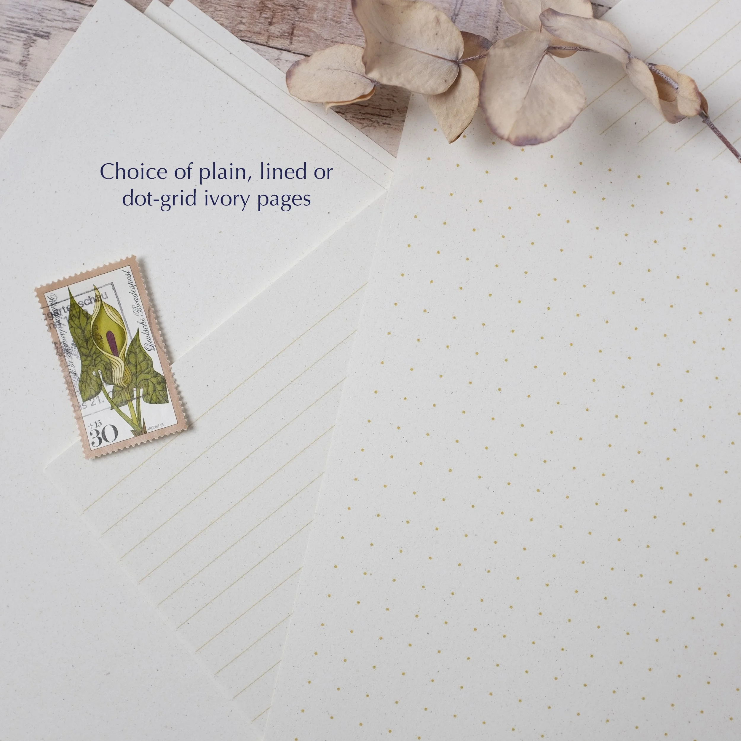 Choice of plain notebook, dot-grid or lined.
