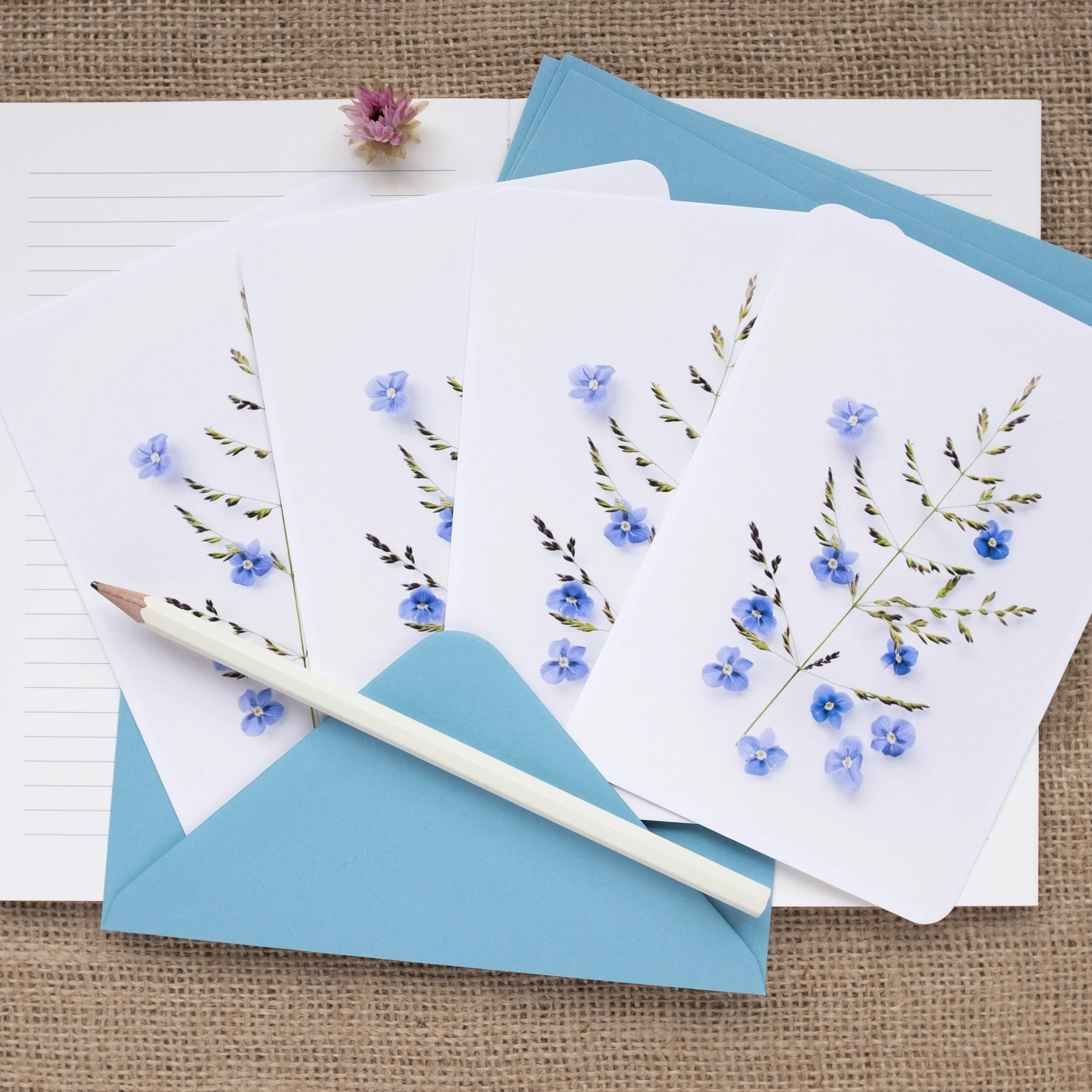 Blue speedwell wildflower notelets UK