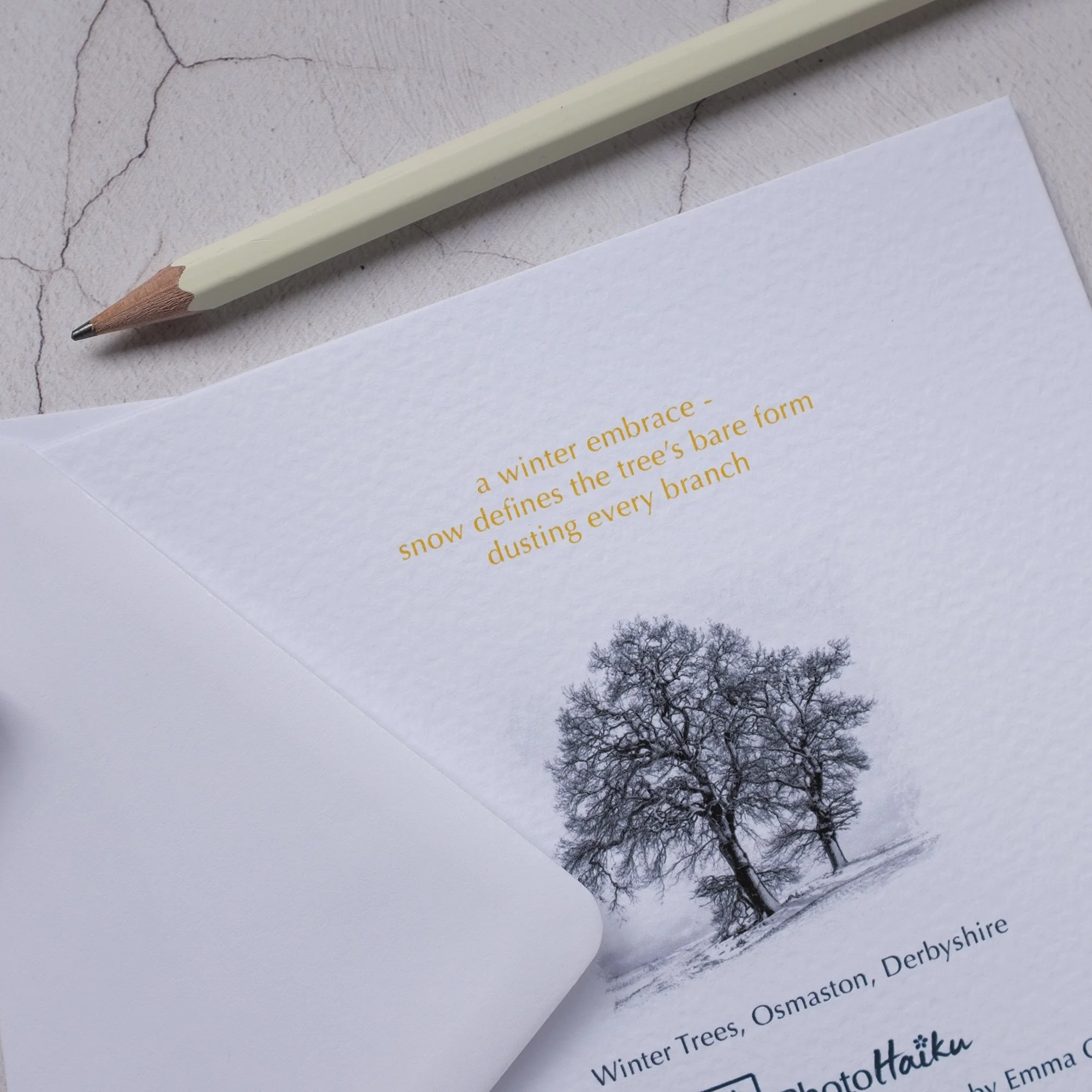 Winter Trees Black and White Photo Greeting Card