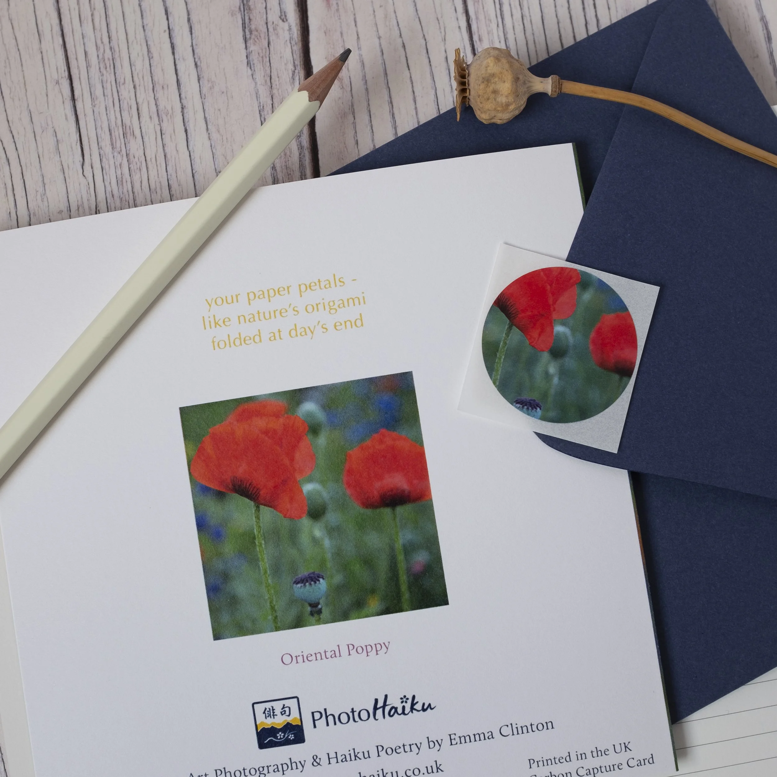 Poppy Garden Floral Greeting Card UK